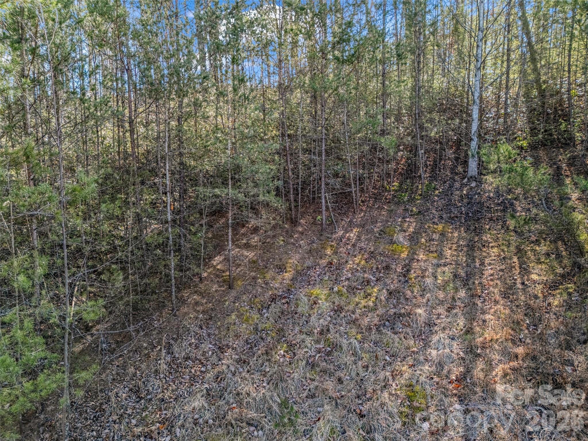 Lot at 2002 Deep Gap Farm Road E, Mill Spring, photo 22 of 33