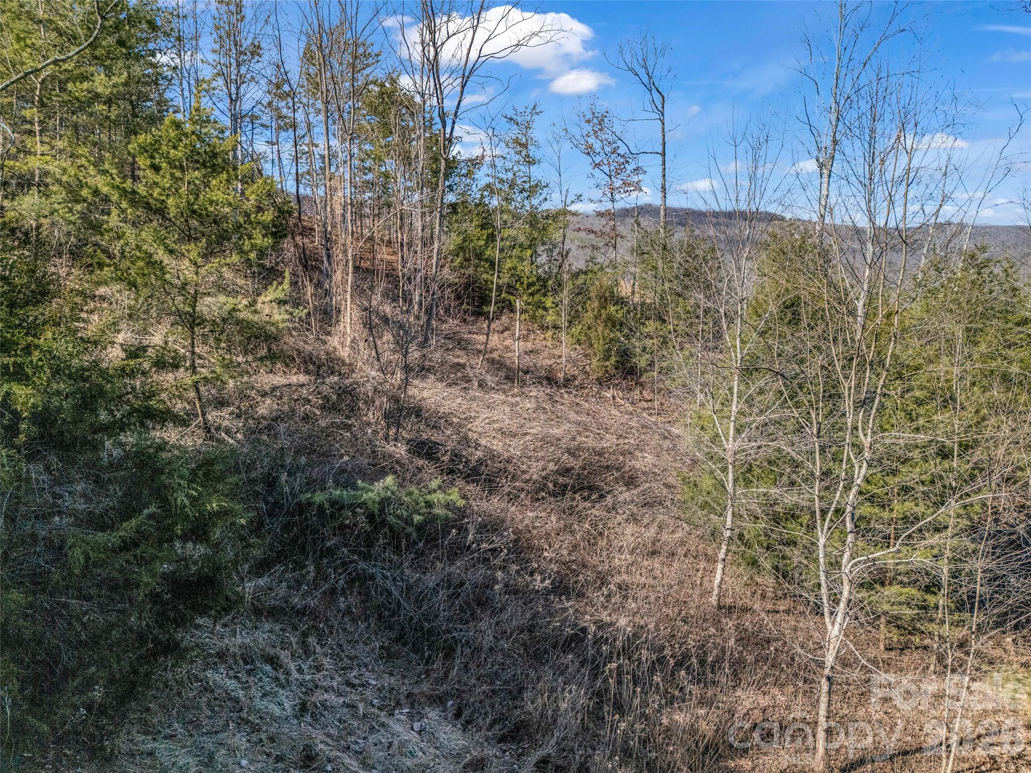 Lot at 2002 Deep Gap Farm Road E, Mill Spring, photo 23 of 33