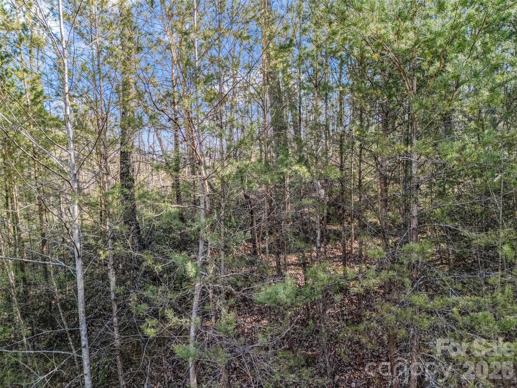 Lot at 2002 Deep Gap Farm Road E, Mill Spring, photo 25 of 33