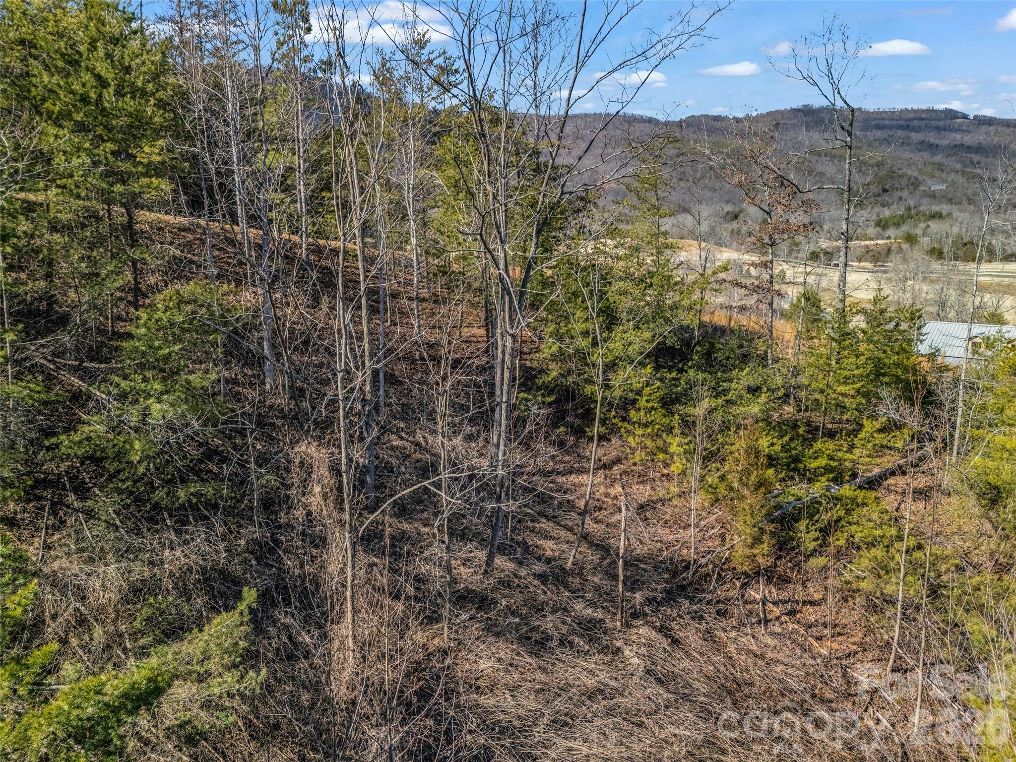 Lot at 2002 Deep Gap Farm Road E, Mill Spring, photo 26 of 33