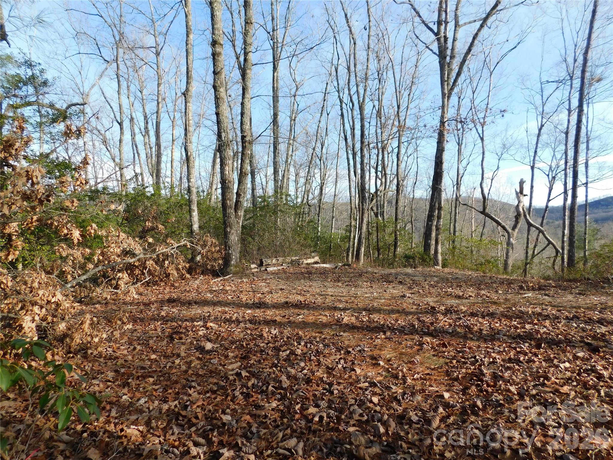 Gorgeous building site. - 154 Laurel Thicket Drive, Brevard