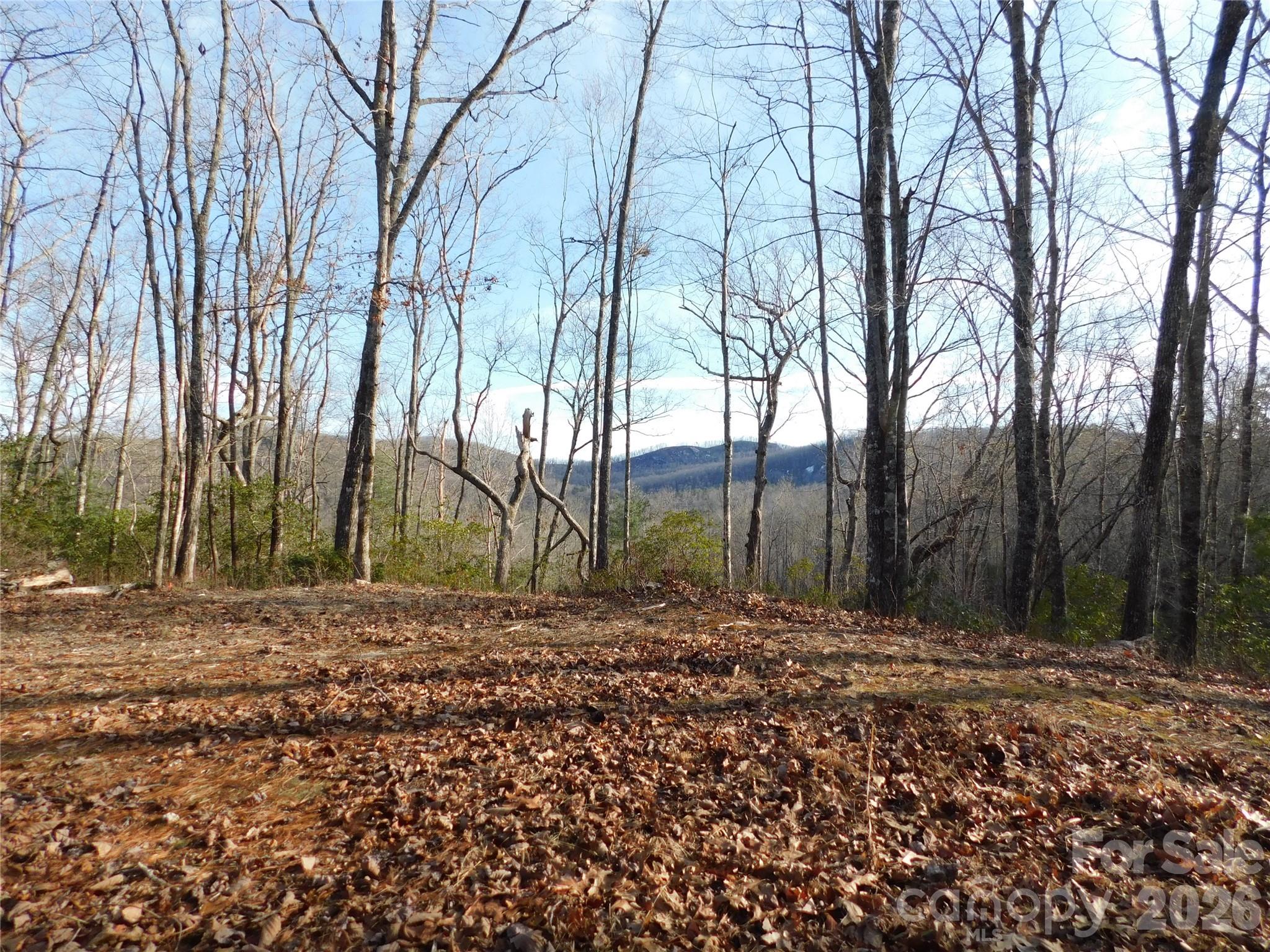 Site is ready for your vision. - 154 Laurel Thicket Drive, Brevard