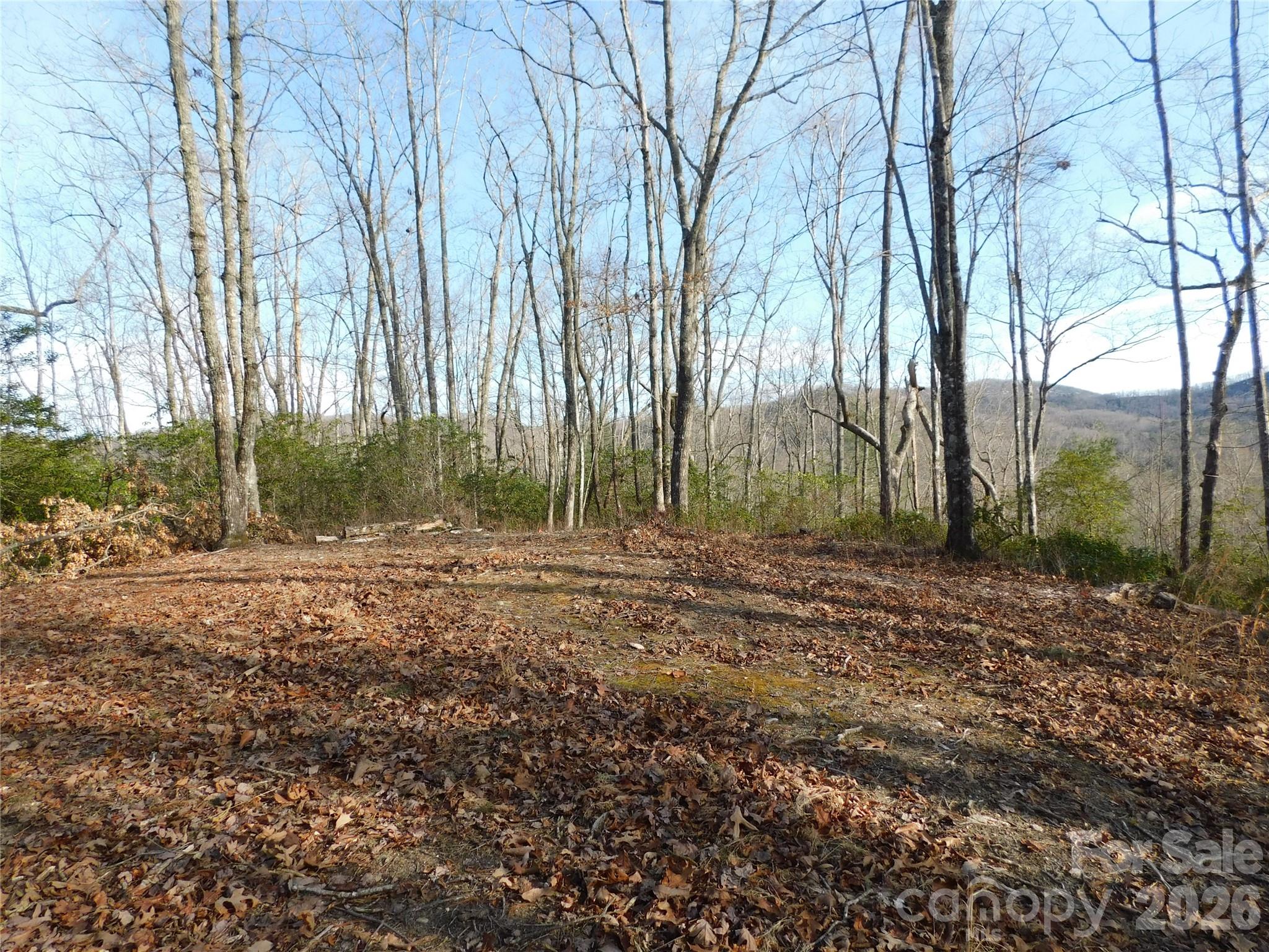 Build you dream home. - 154 Laurel Thicket Drive, Brevard