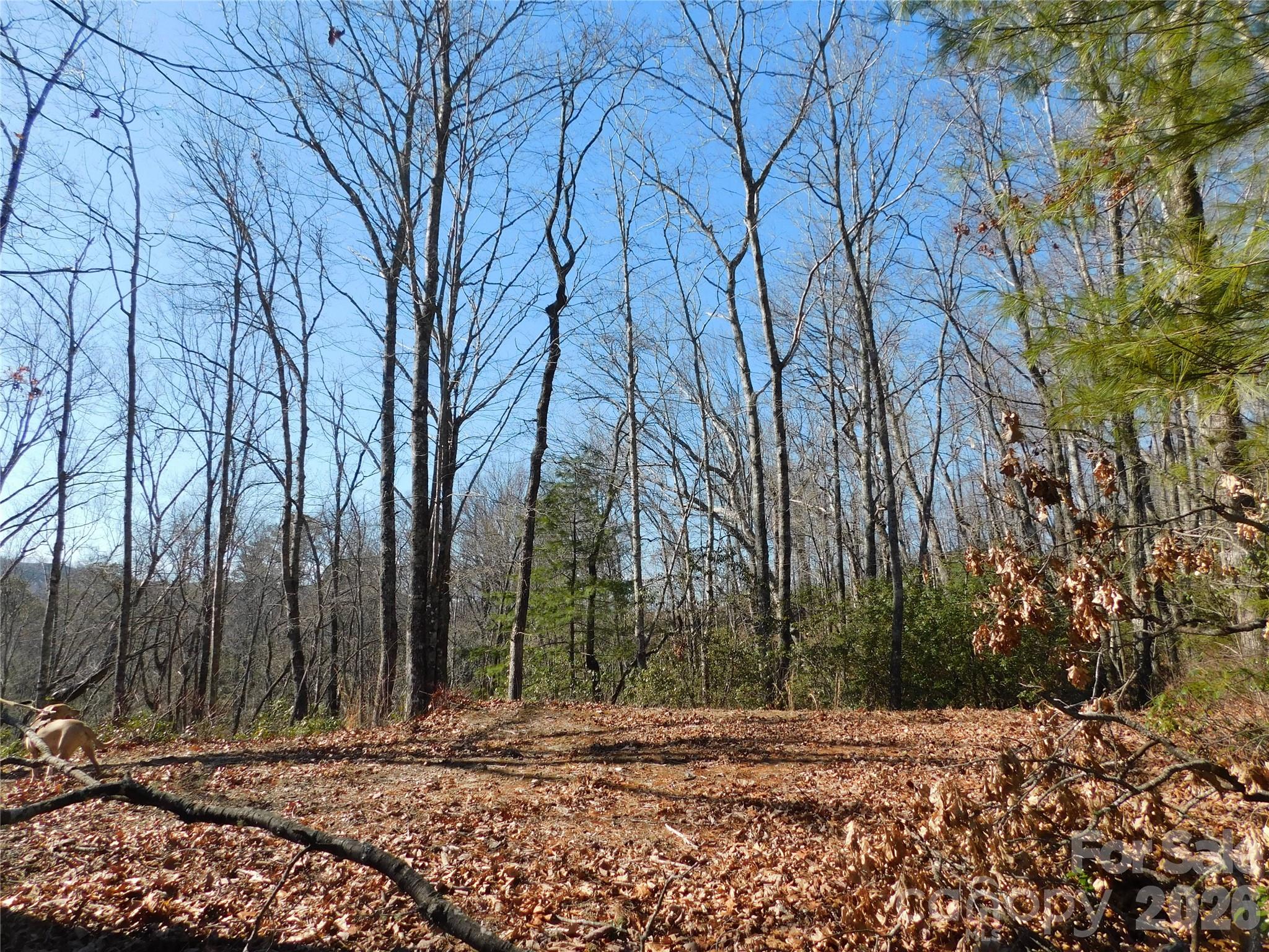 A quiet retreat from a busy life. - 154 Laurel Thicket Drive, Brevard