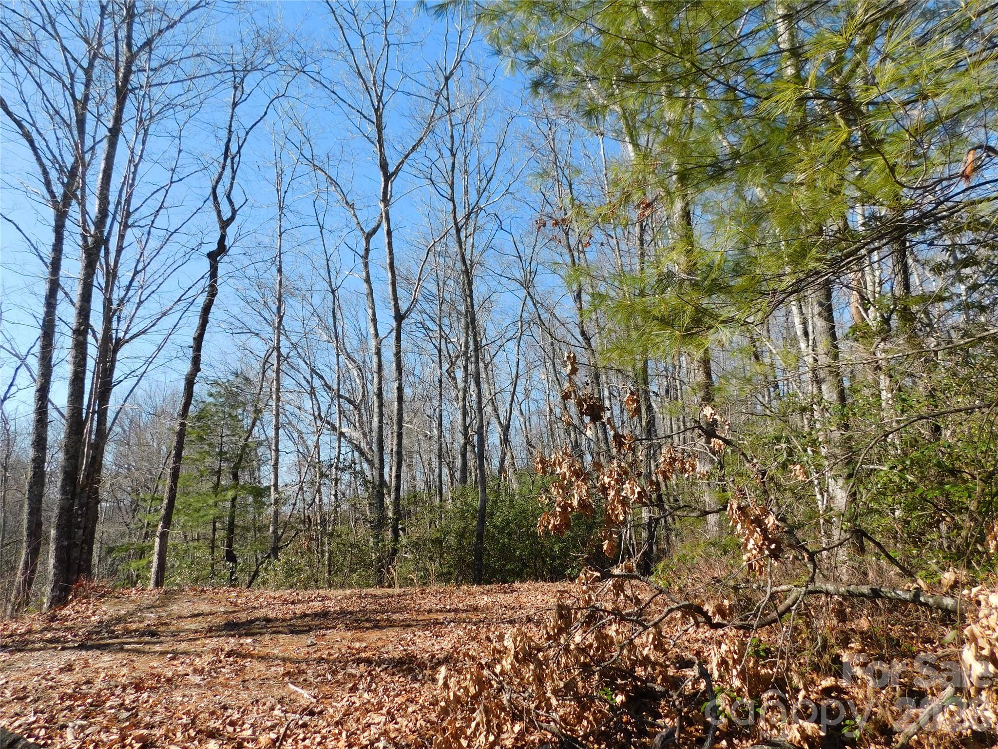 10 minutes from Dupont State Forest. - 154 Laurel Thicket Drive, Brevard