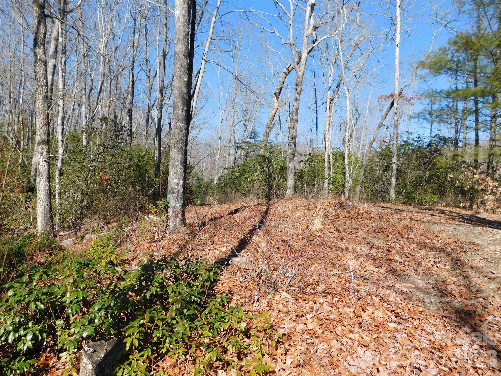 Conveniently located close to the second main Big Hill entrance. - 154 Laurel Thicket Drive, Brevard