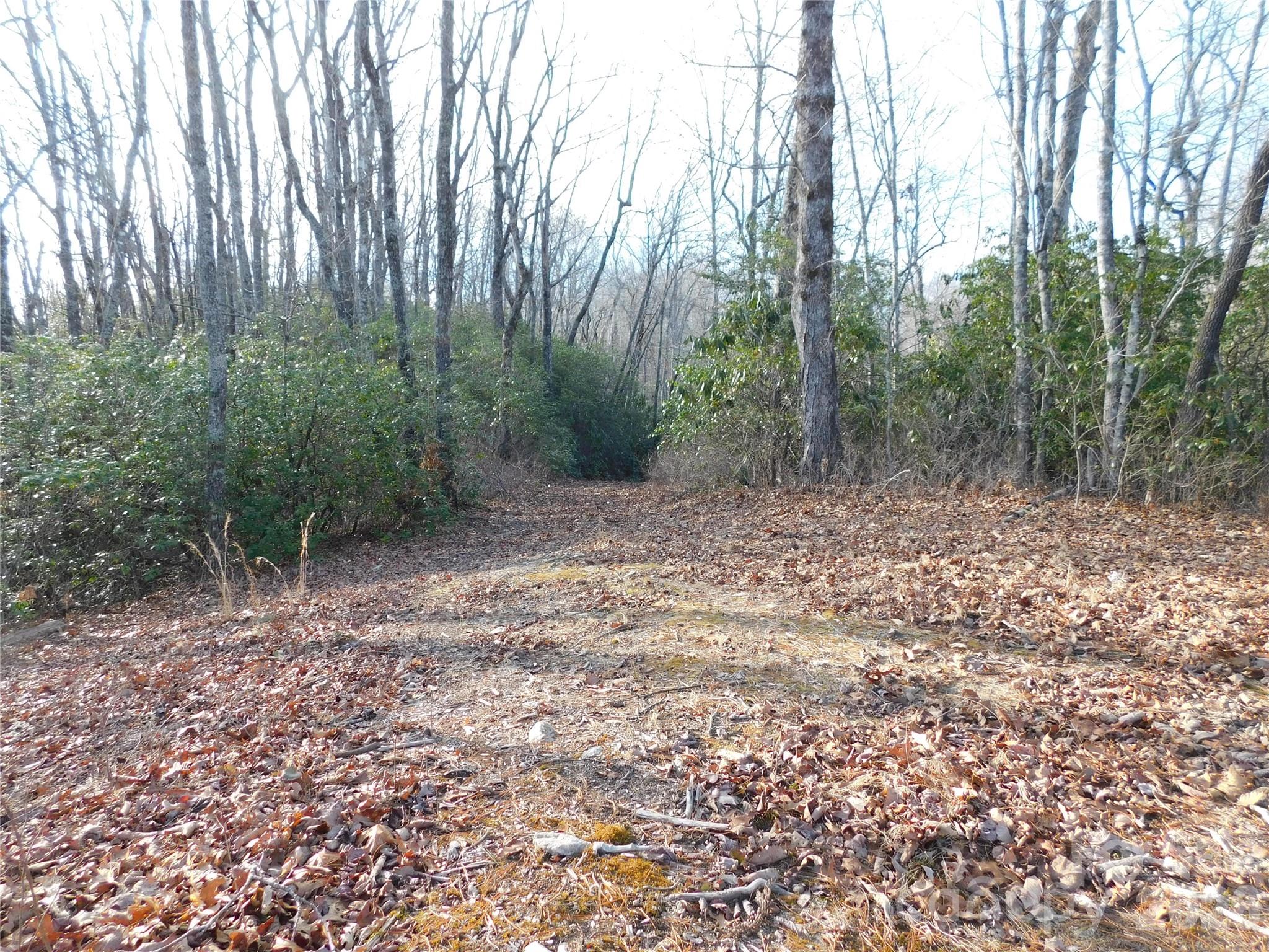 Driveway already cut in, providing easy access to the building site. - 154 Laurel Thicket Drive, Brevard