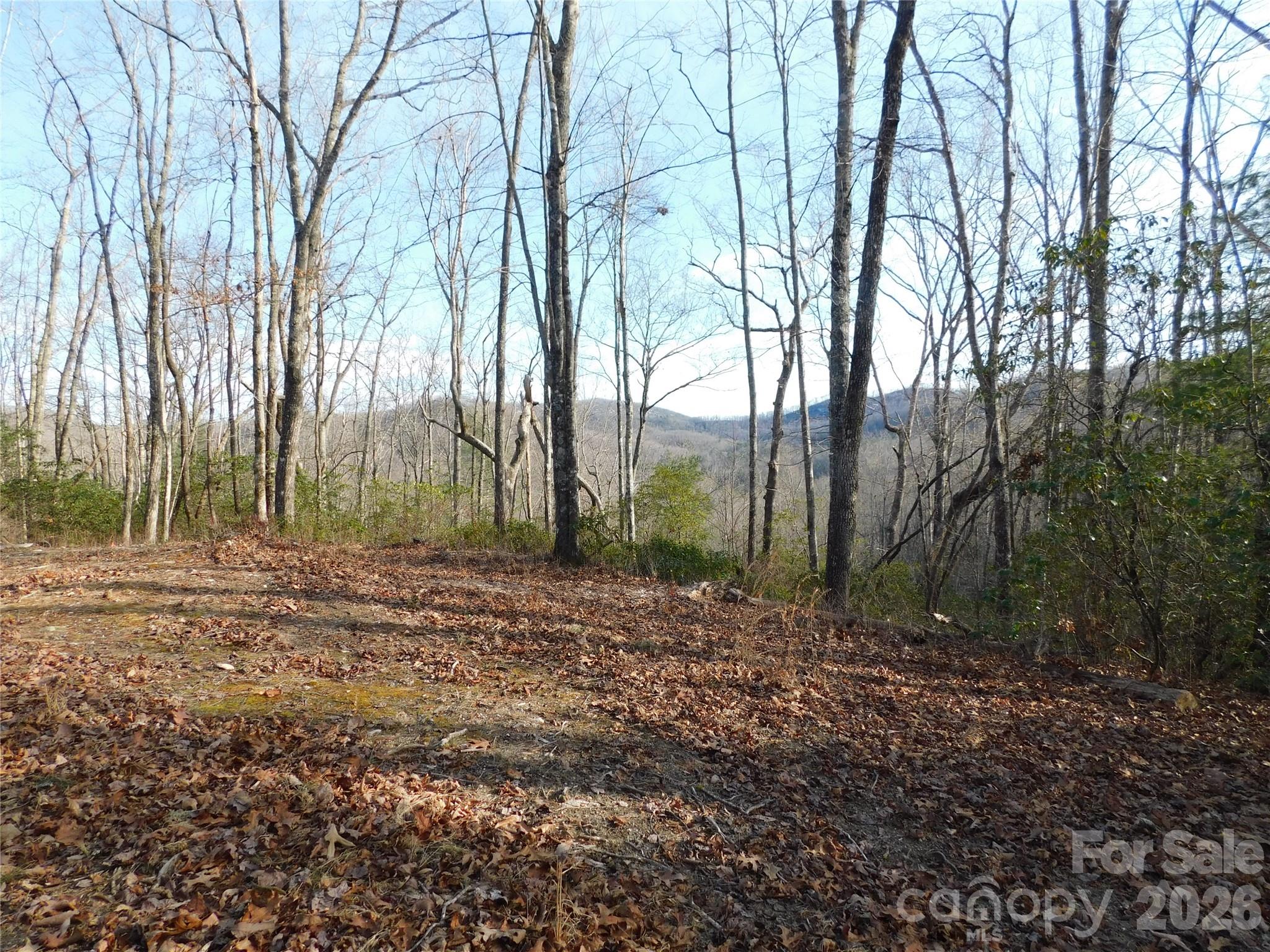 Beautiful long-range view. - 154 Laurel Thicket Drive, Brevard