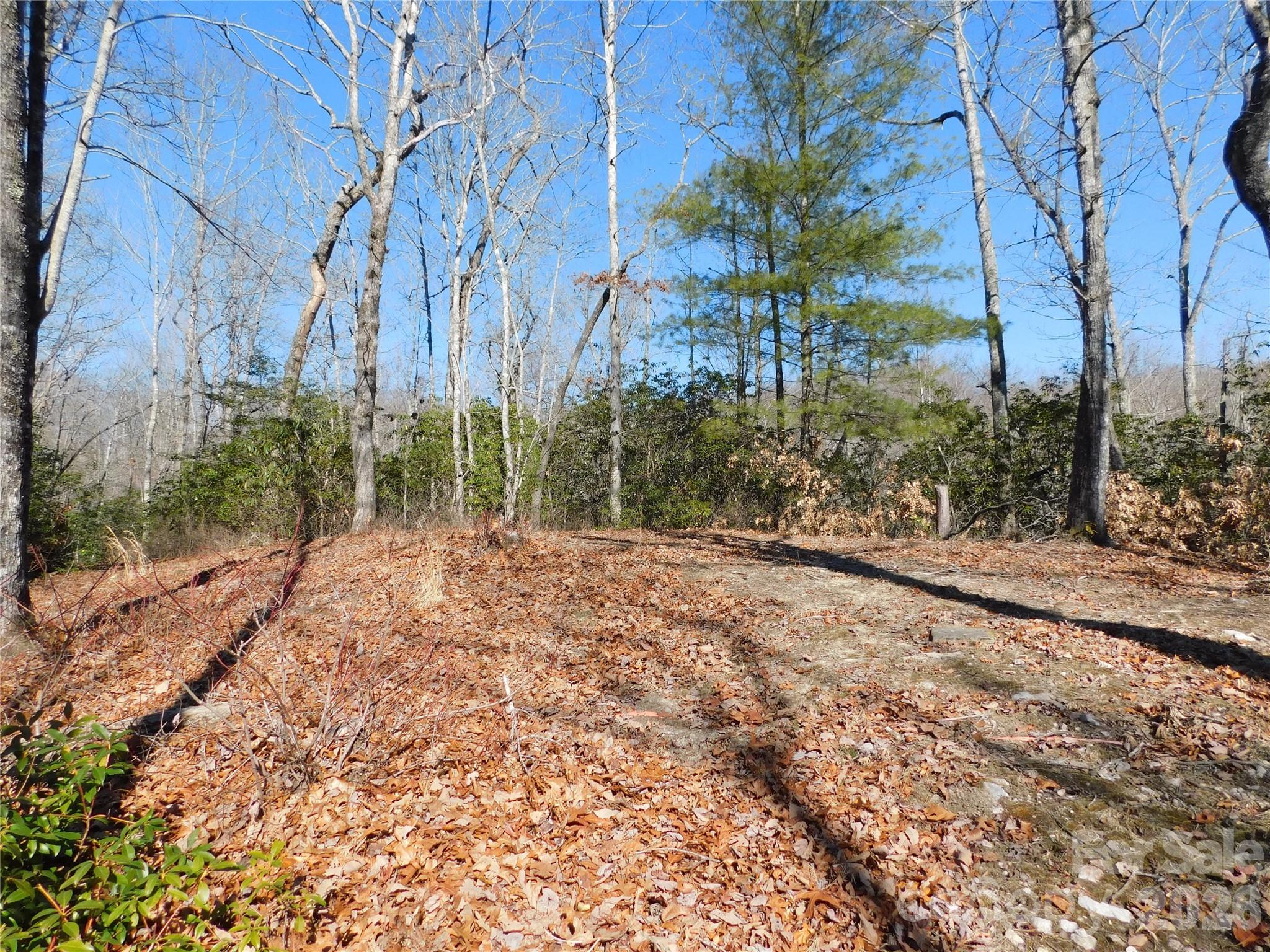 Peaceful wooded surroundings offer privacy and a true mountain feel. - 154 Laurel Thicket Drive, Brevard