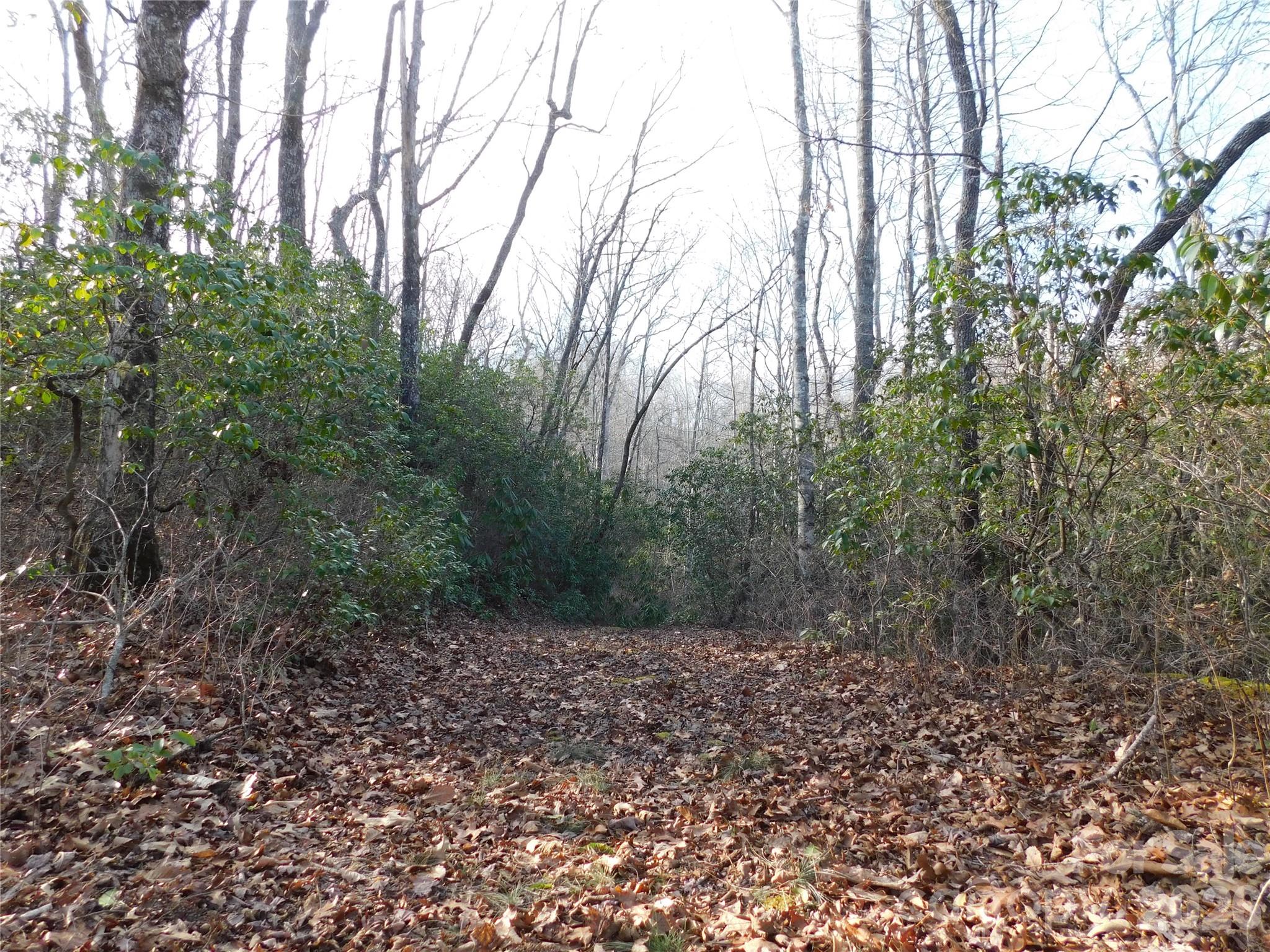 Easy drive with natural privacy from main road. - 154 Laurel Thicket Drive, Brevard