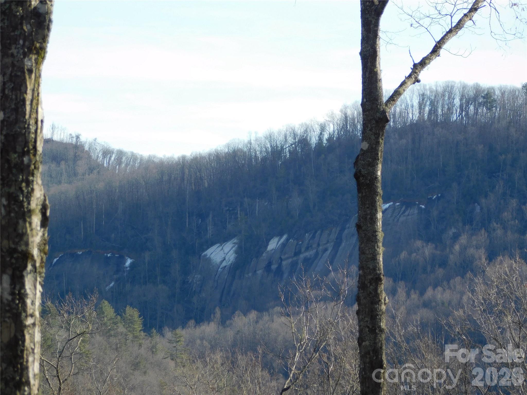 Enjoy morning coffee to the songs of nature. - 154 Laurel Thicket Drive, Brevard