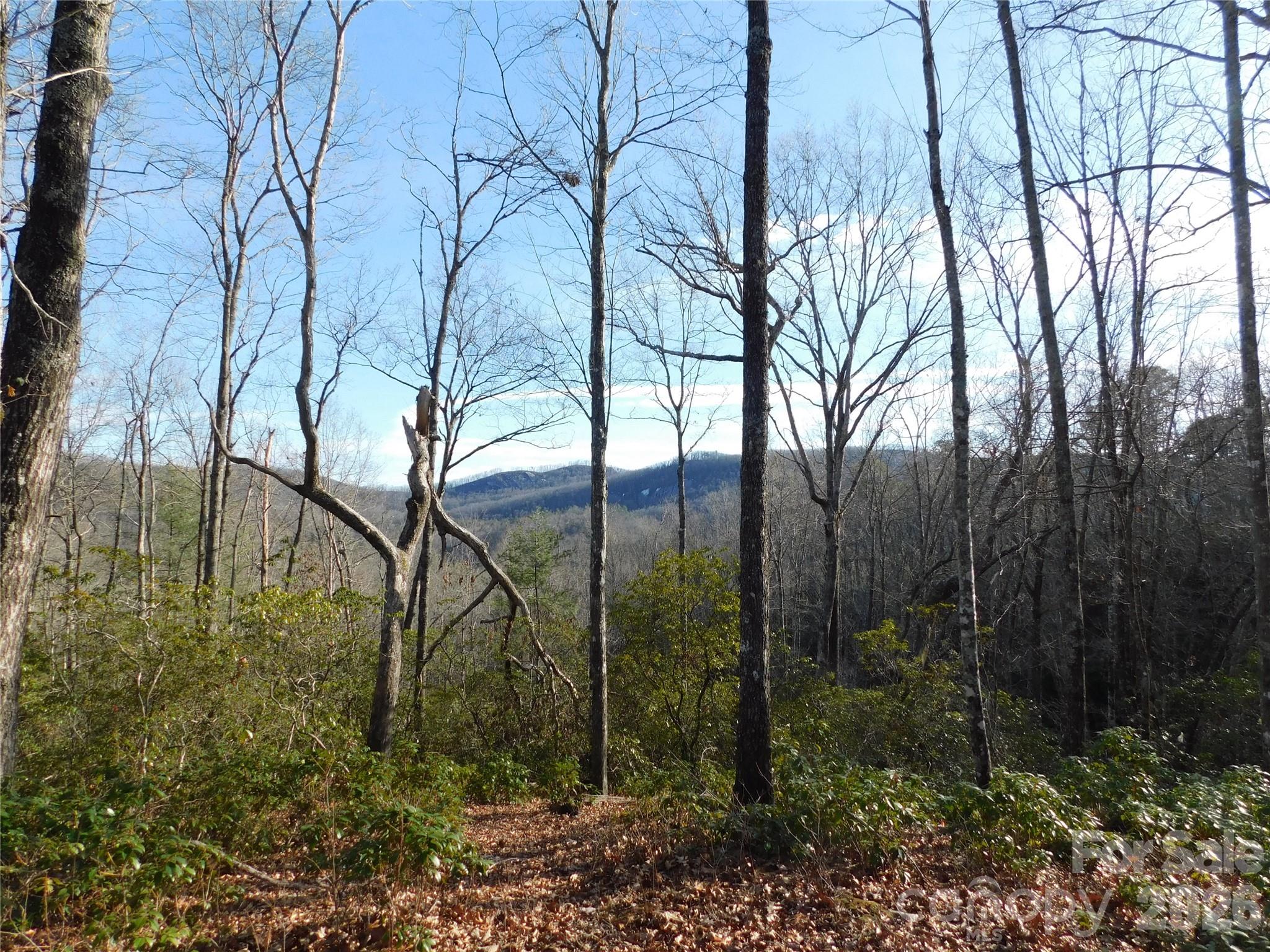 Mature trees and natural mountain landscape throughout the property. - 154 Laurel Thicket Drive, Brevard