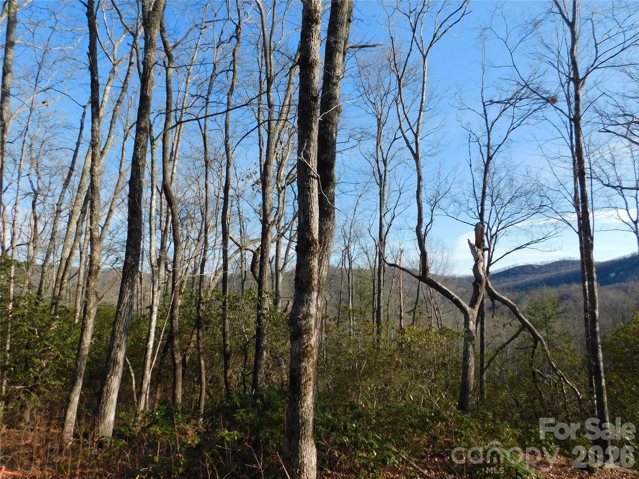 Wind down after a long day watching the deer graze. - 154 Laurel Thicket Drive, Brevard