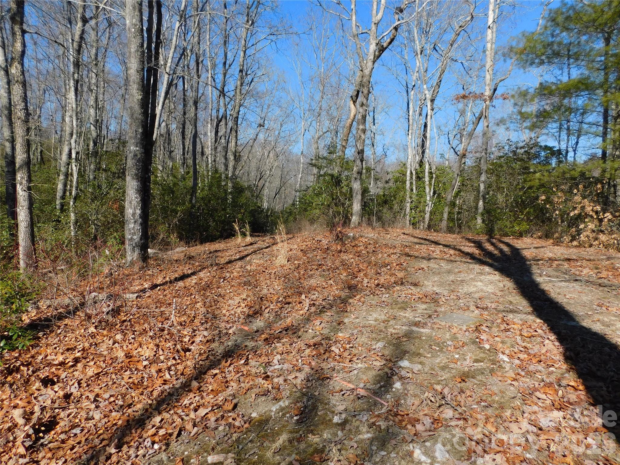 Perfect blend of privacy, beauty, and convenience. - 154 Laurel Thicket Drive, Brevard