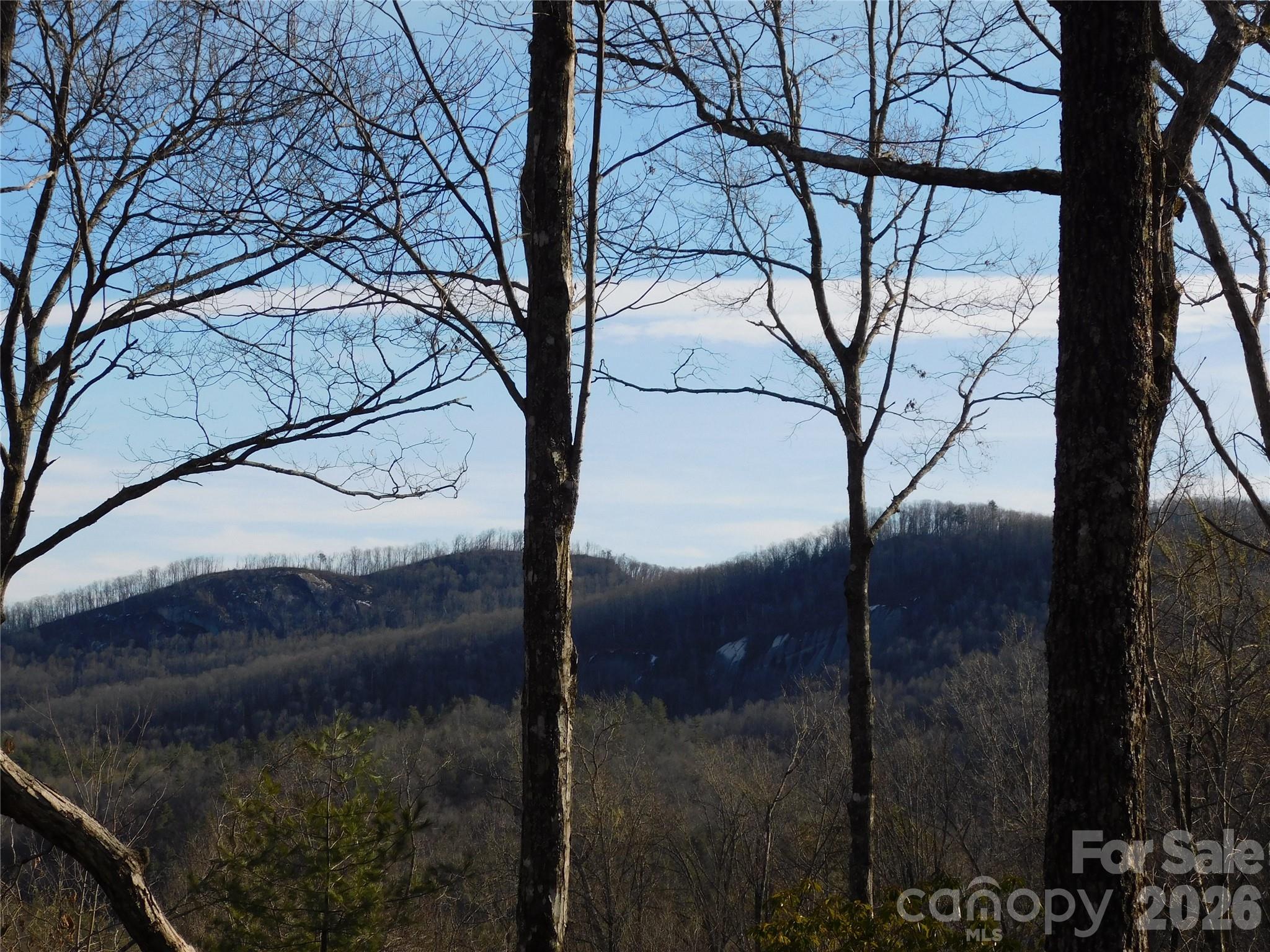 Find you inner peace. - 154 Laurel Thicket Drive, Brevard