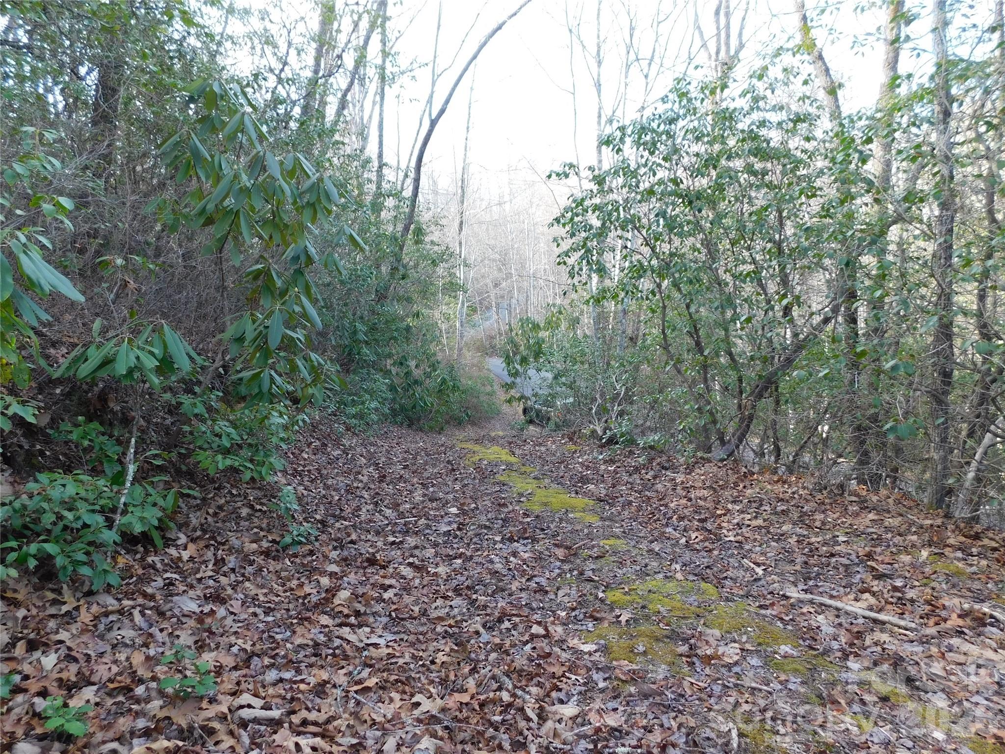Full view of drive. - 154 Laurel Thicket Drive, Brevard