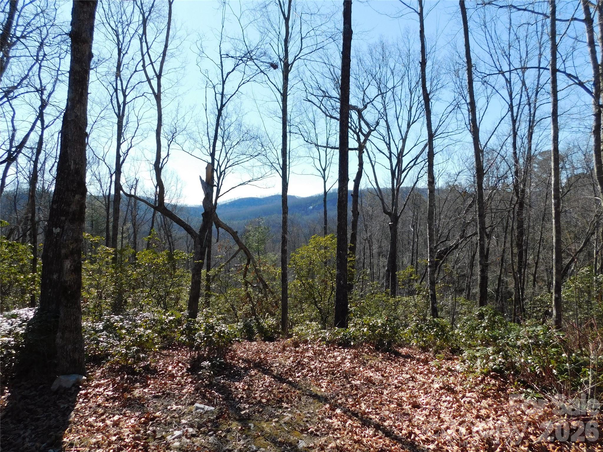 Peaceful mountain setting. It doesn't get any better! - 154 Laurel Thicket Drive, Brevard