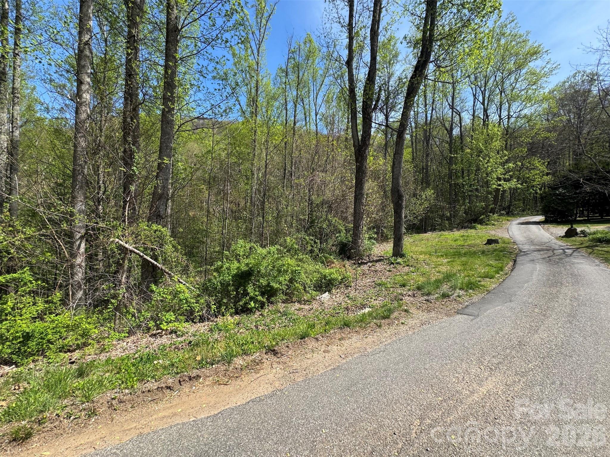 Along Apple Tree Ct - TBD (B) Browning Branch Road, Waynesville