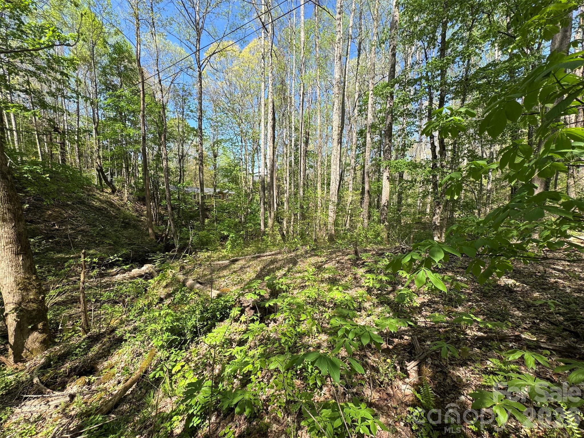 Flat area by creek - TBD (B) Browning Branch Road, Waynesville