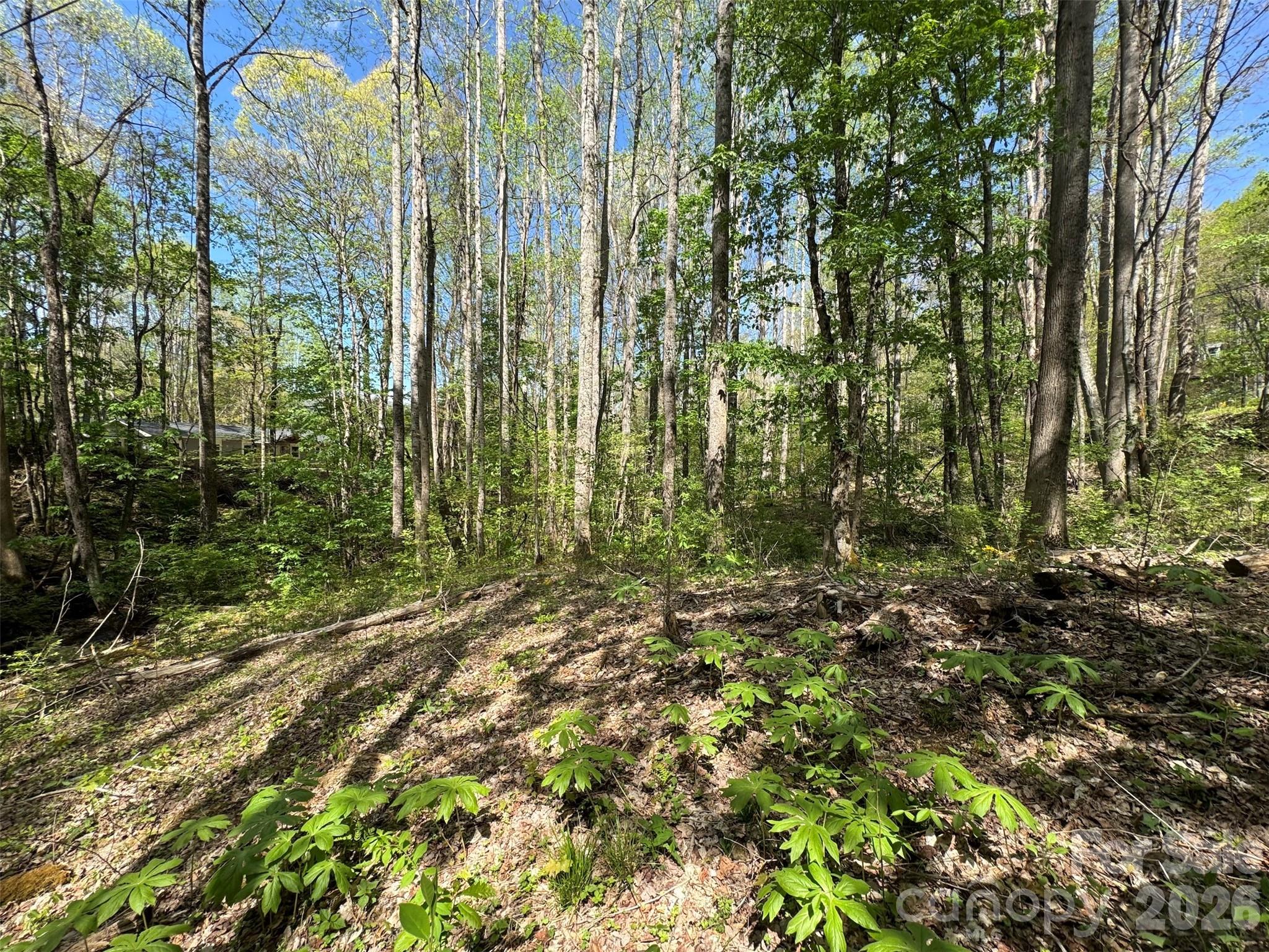 Lots of gentle topography in valley - TBD (B) Browning Branch Road, Waynesville