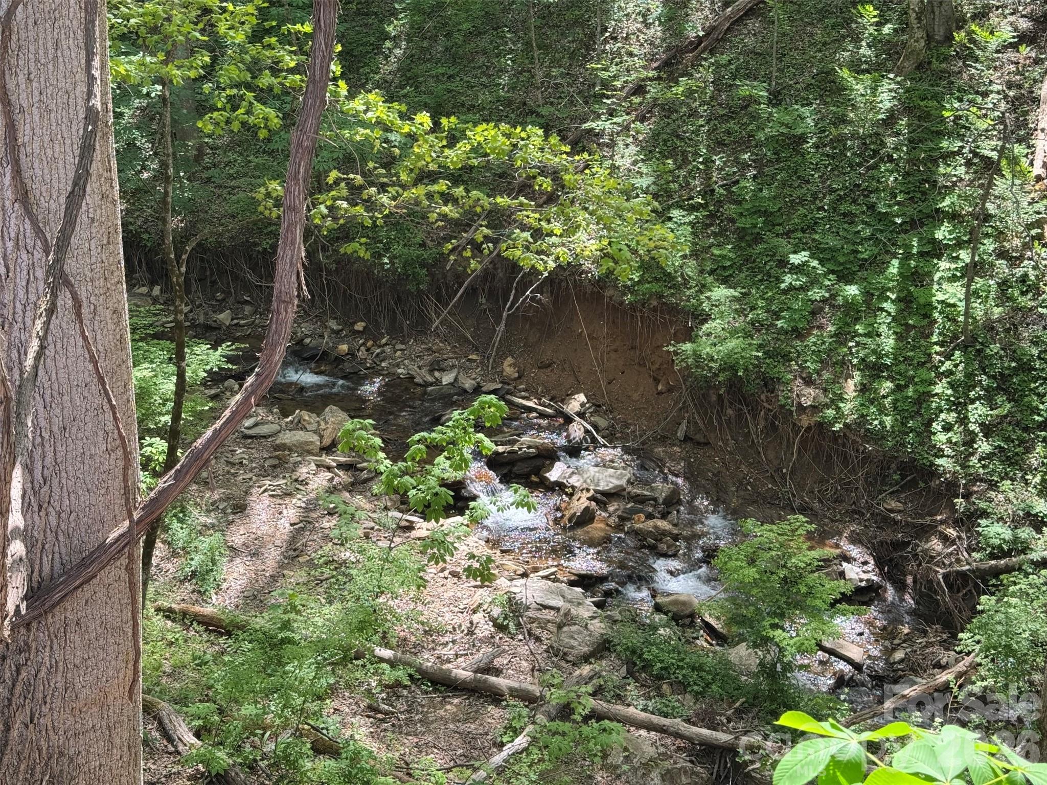 Some erosion from Helene visible on Browning Branch - TBD (B) Browning Branch Road, Waynesville