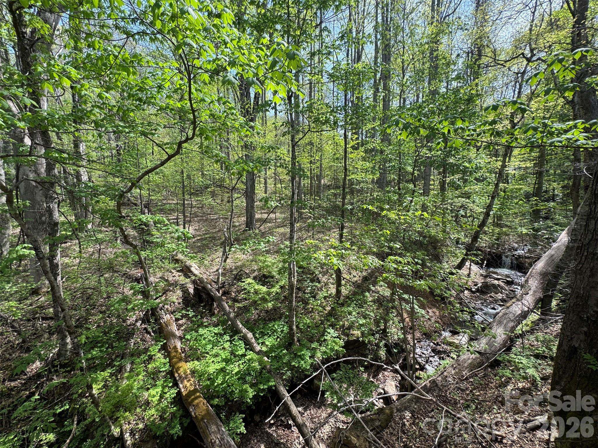 Looking from Apple Tree Ct across creed to flat area accessible from Browning Br rd side - TBD (B) Browning Branch Road, Waynesville