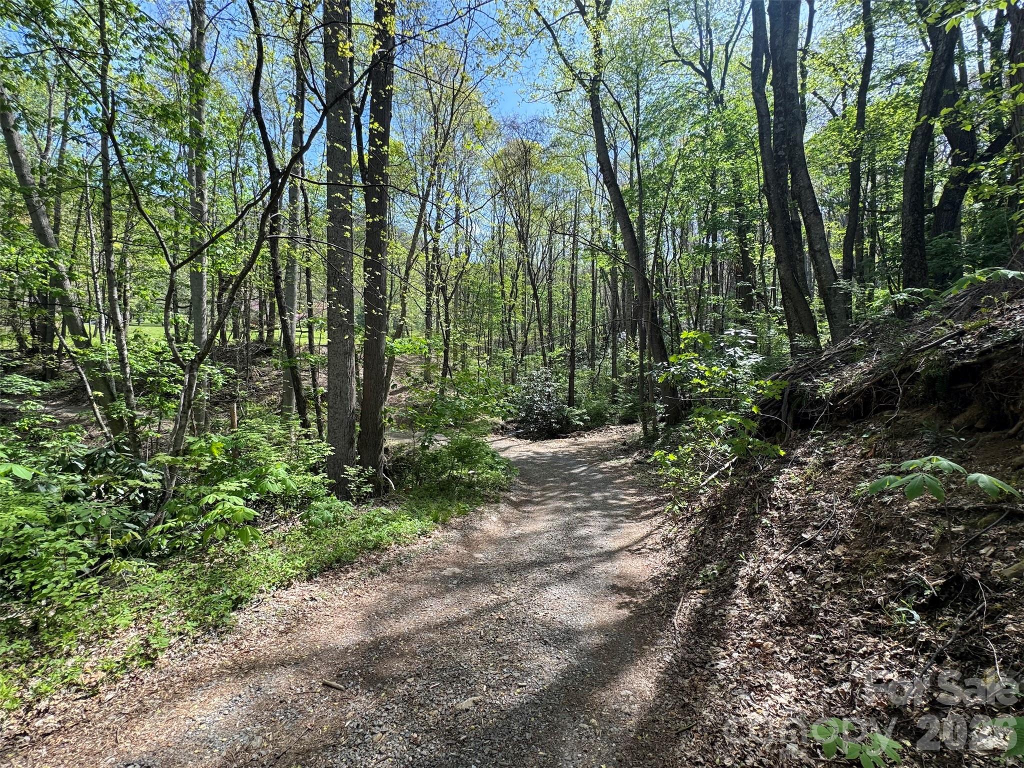 Gravel rd used by Apple Tree for access - TBD (B) Browning Branch Road, Waynesville