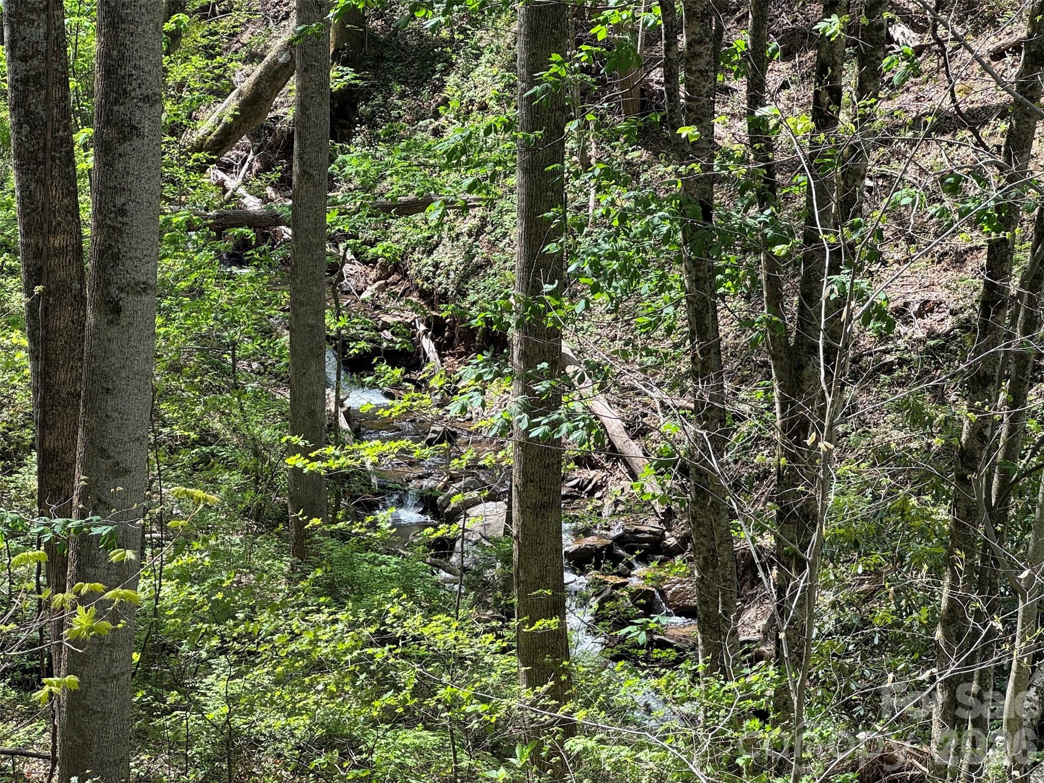Bold stream/creek with rock cascades - TBD (B) Browning Branch Road, Waynesville