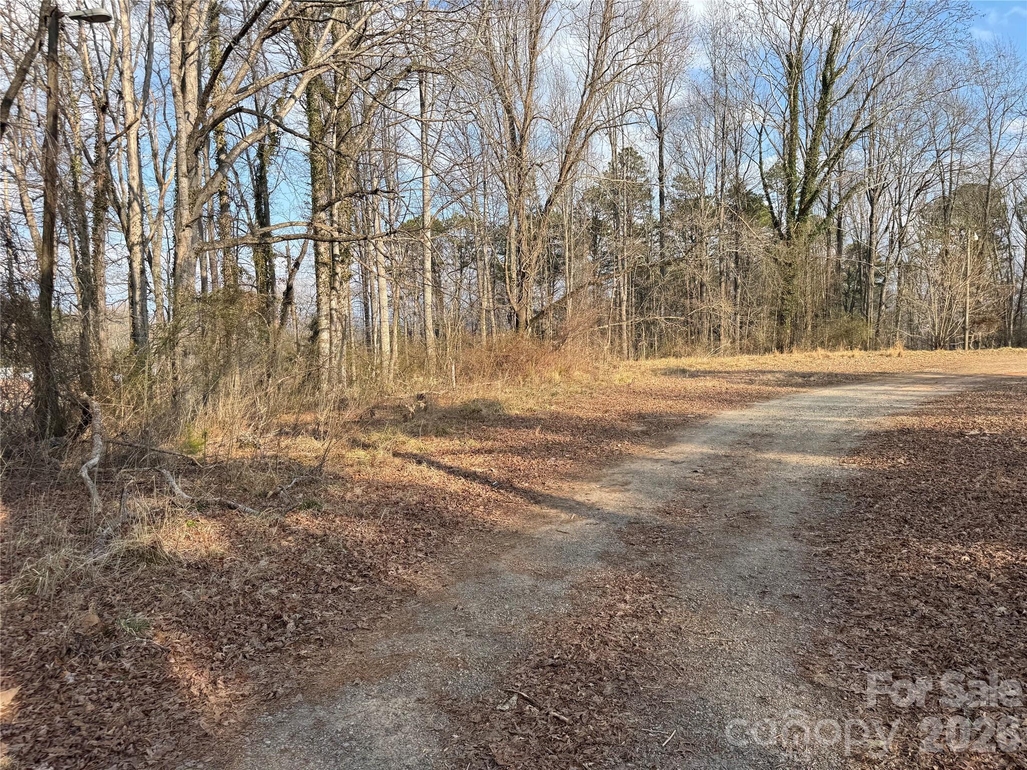 Acreage at 481 Fisher Road, Brevard, photo 3 of 16