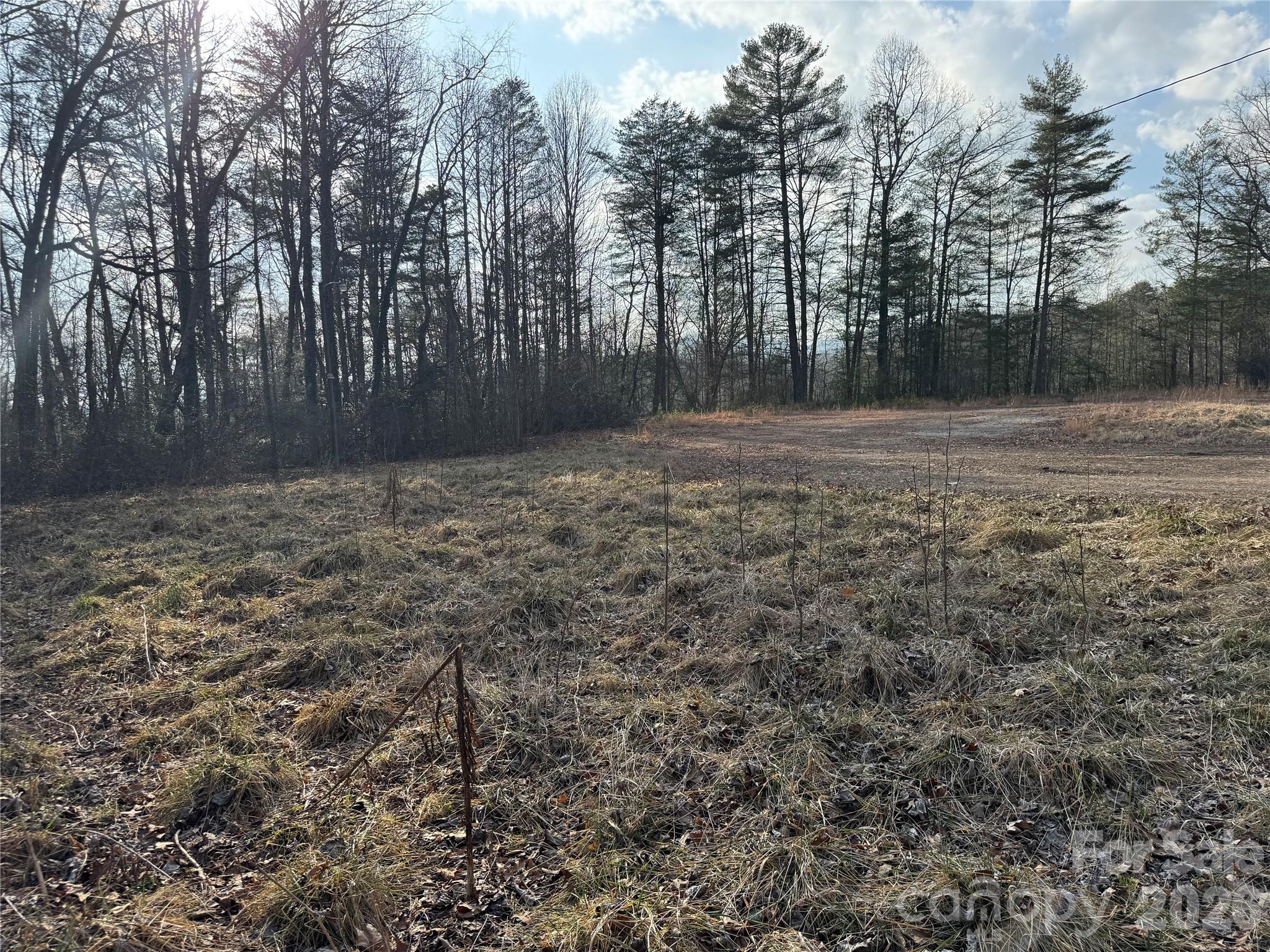 Acreage at 481 Fisher Road, Brevard, photo 4 of 16