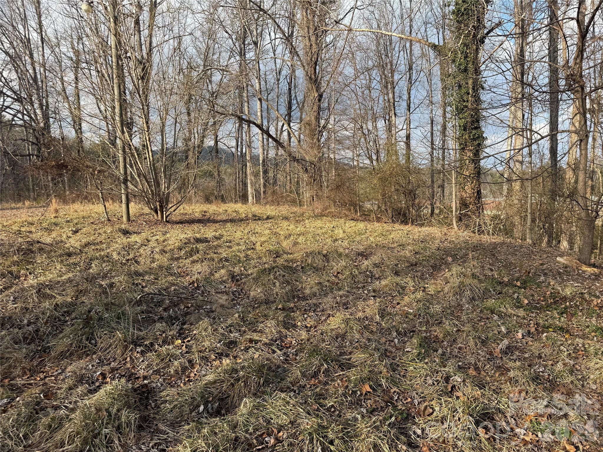 Acreage at 481 Fisher Road, Brevard, photo 6 of 16