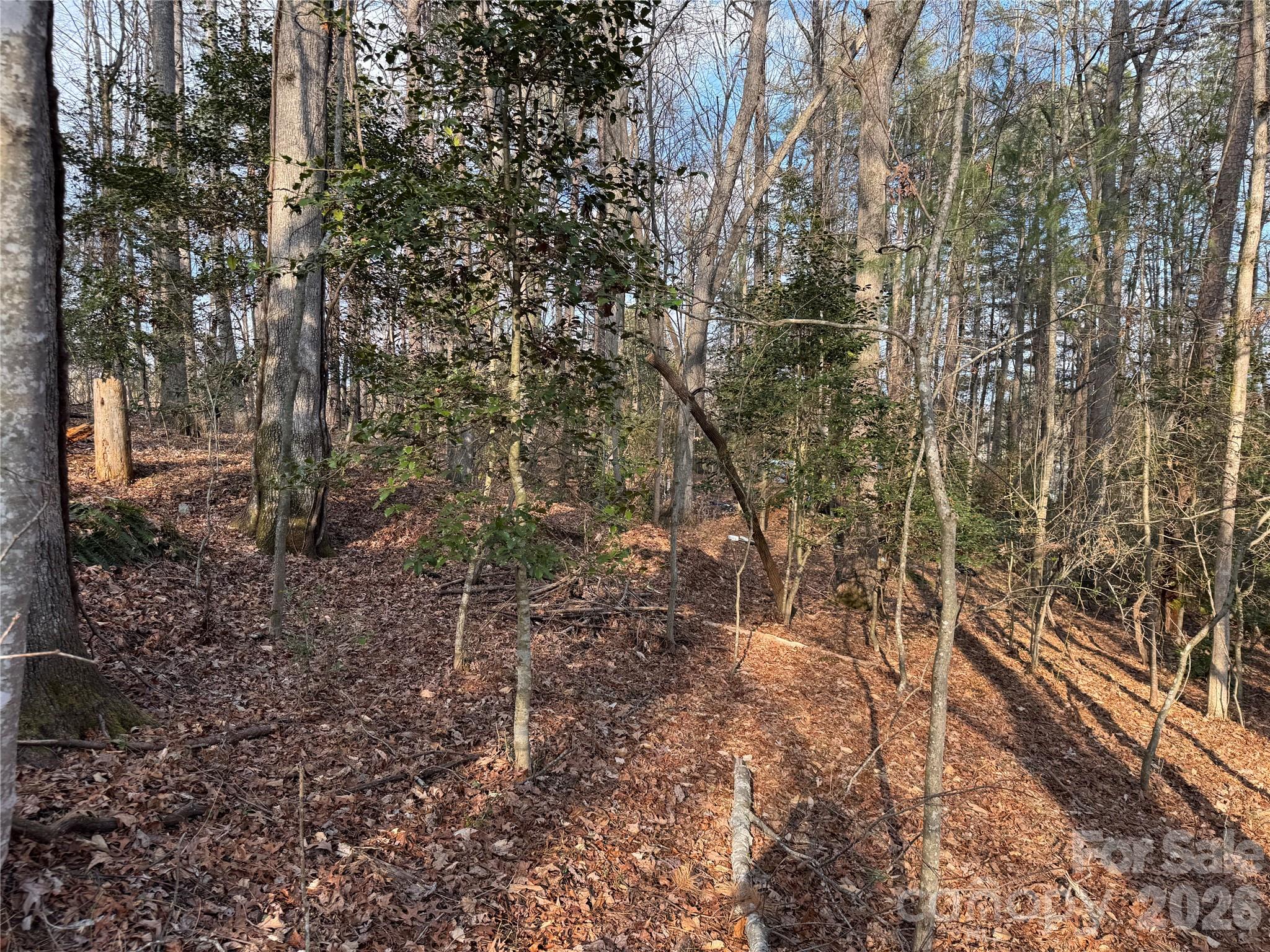 Acreage at 481 Fisher Road, Brevard, photo 8 of 16