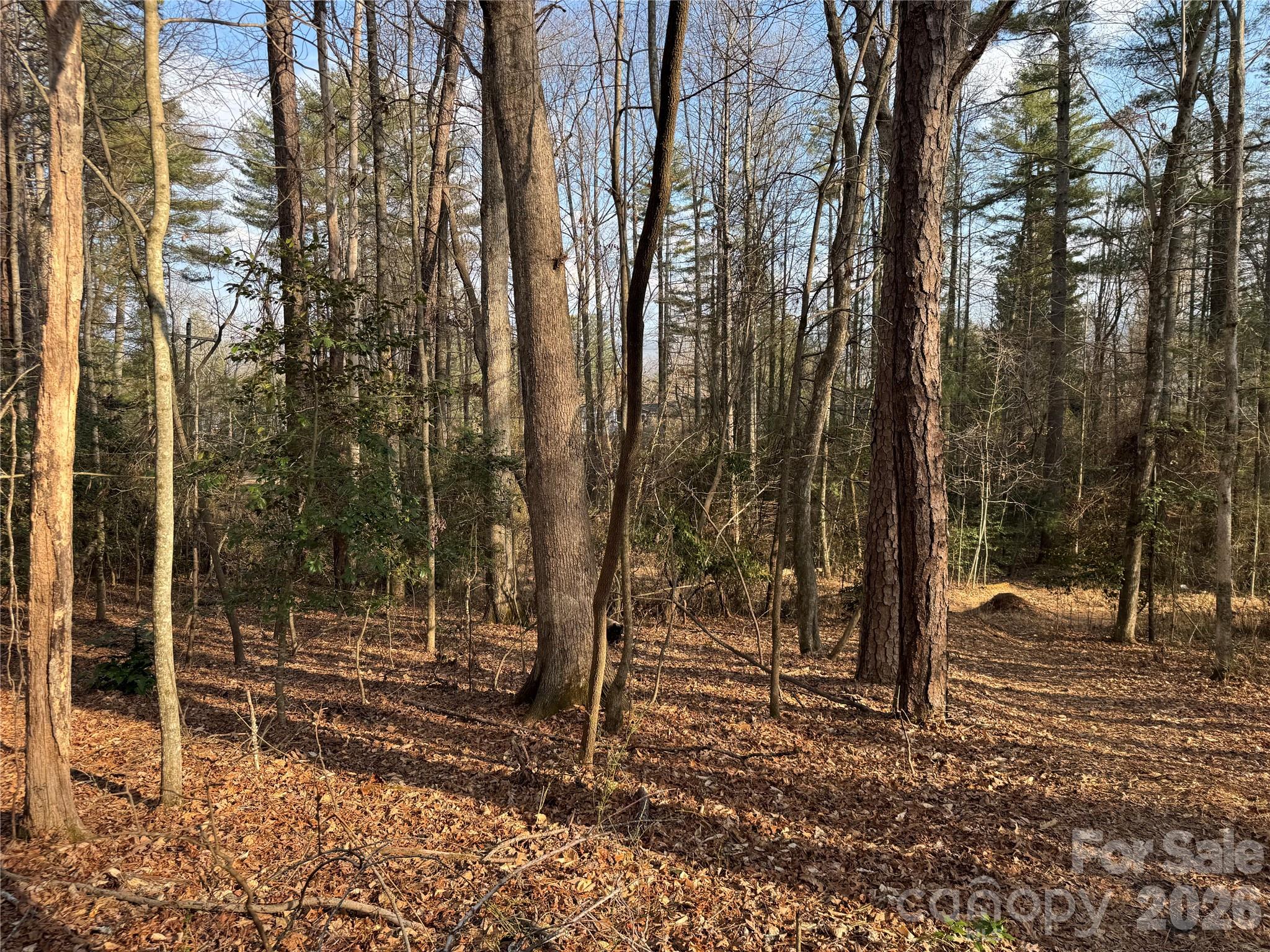 Acreage at 481 Fisher Road, Brevard, photo 9 of 16