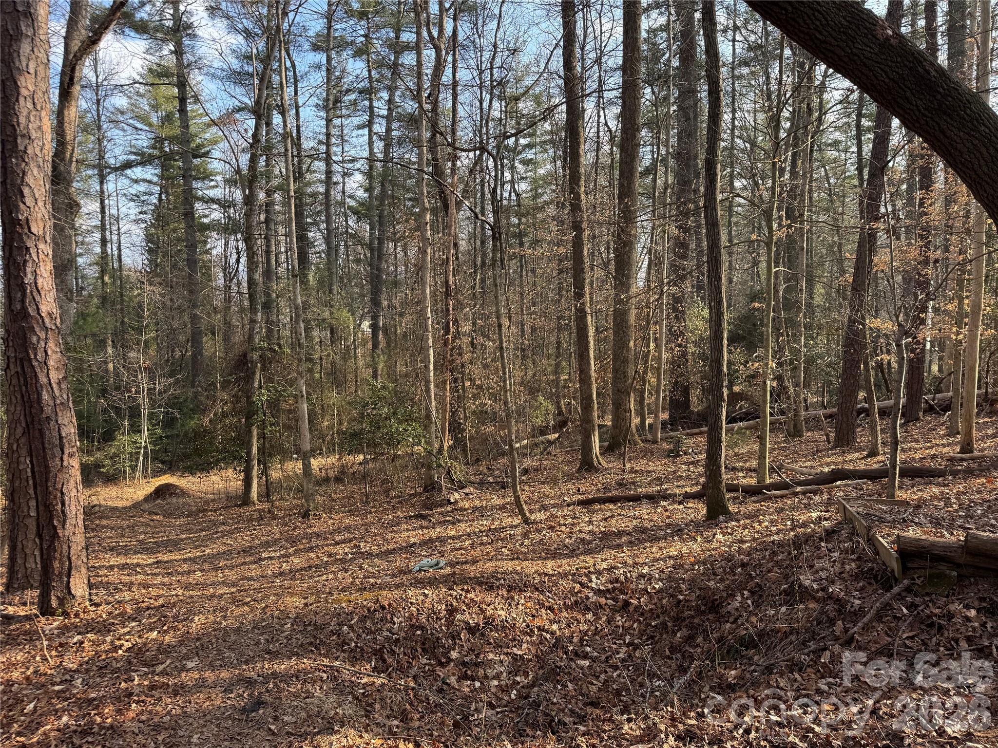 Acreage at 481 Fisher Road, Brevard, photo 10 of 16