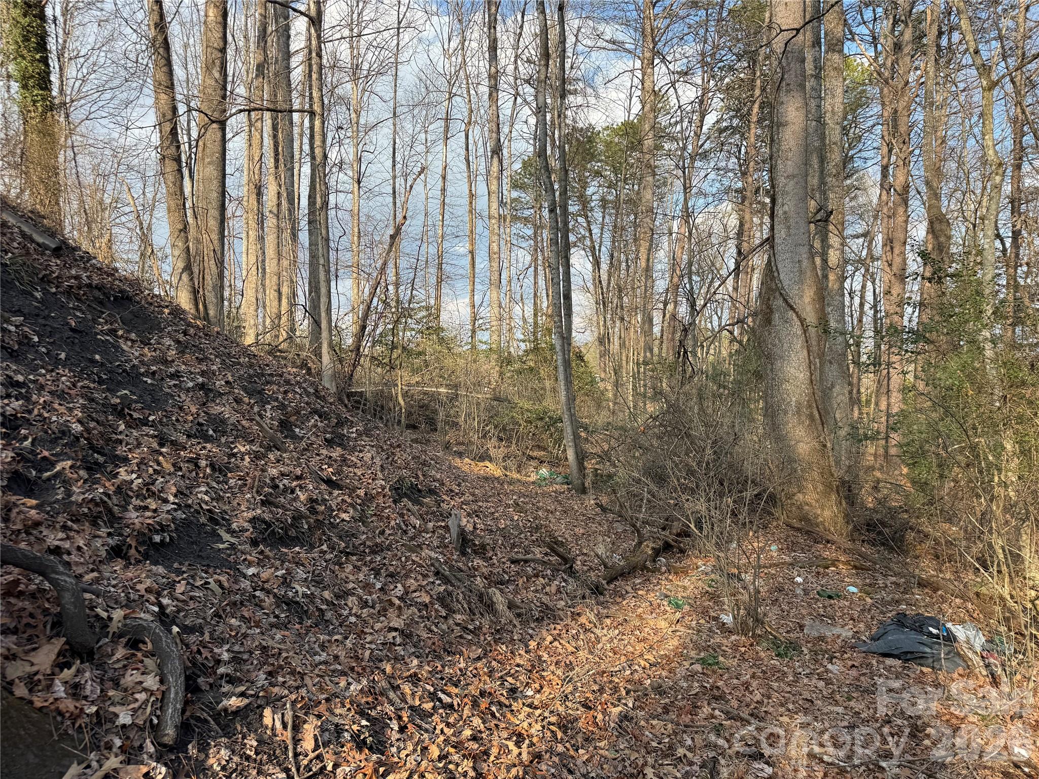 Acreage at 481 Fisher Road, Brevard, photo 13 of 16