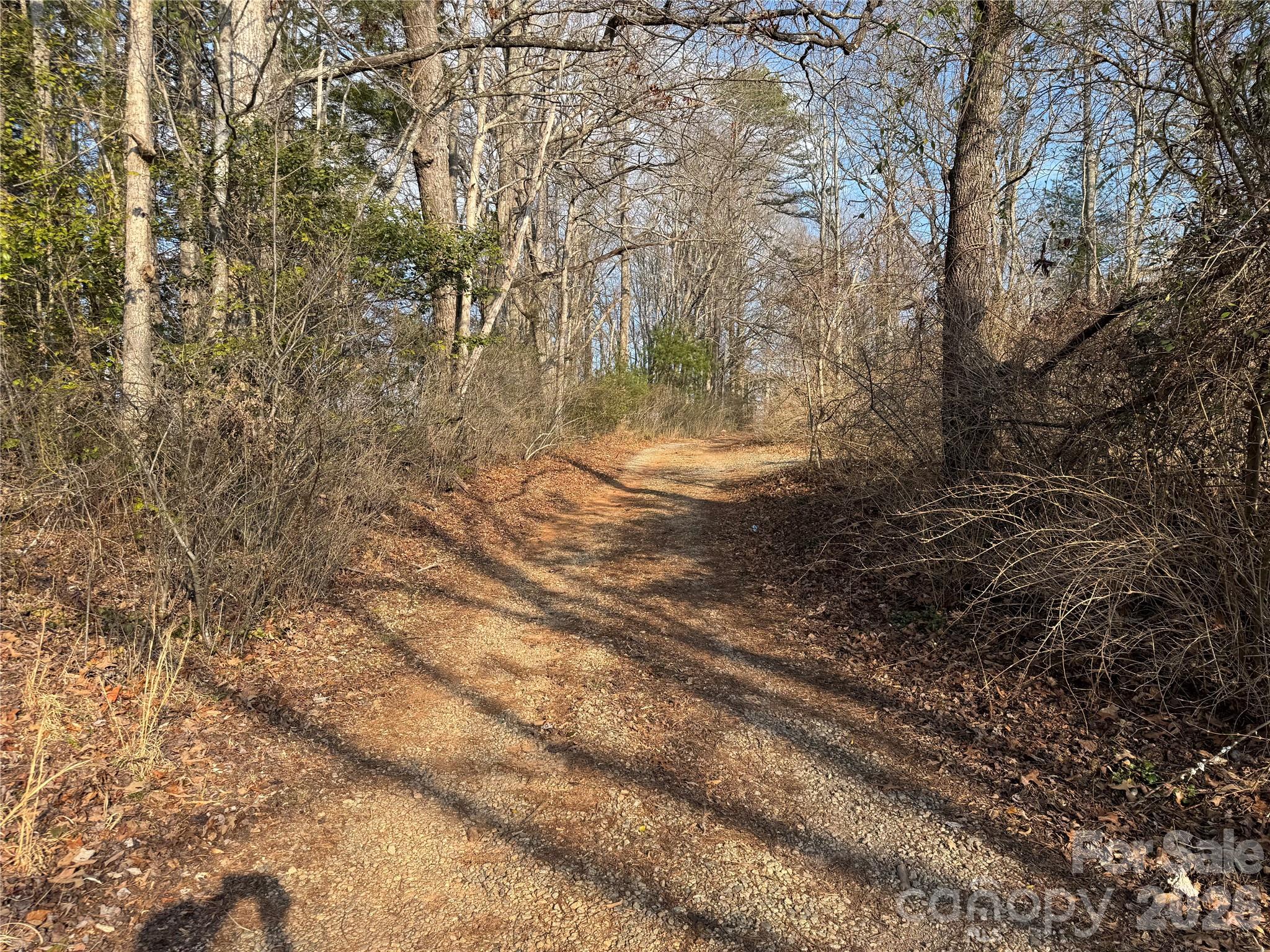 Acreage at 481 Fisher Road, Brevard, photo 14 of 16
