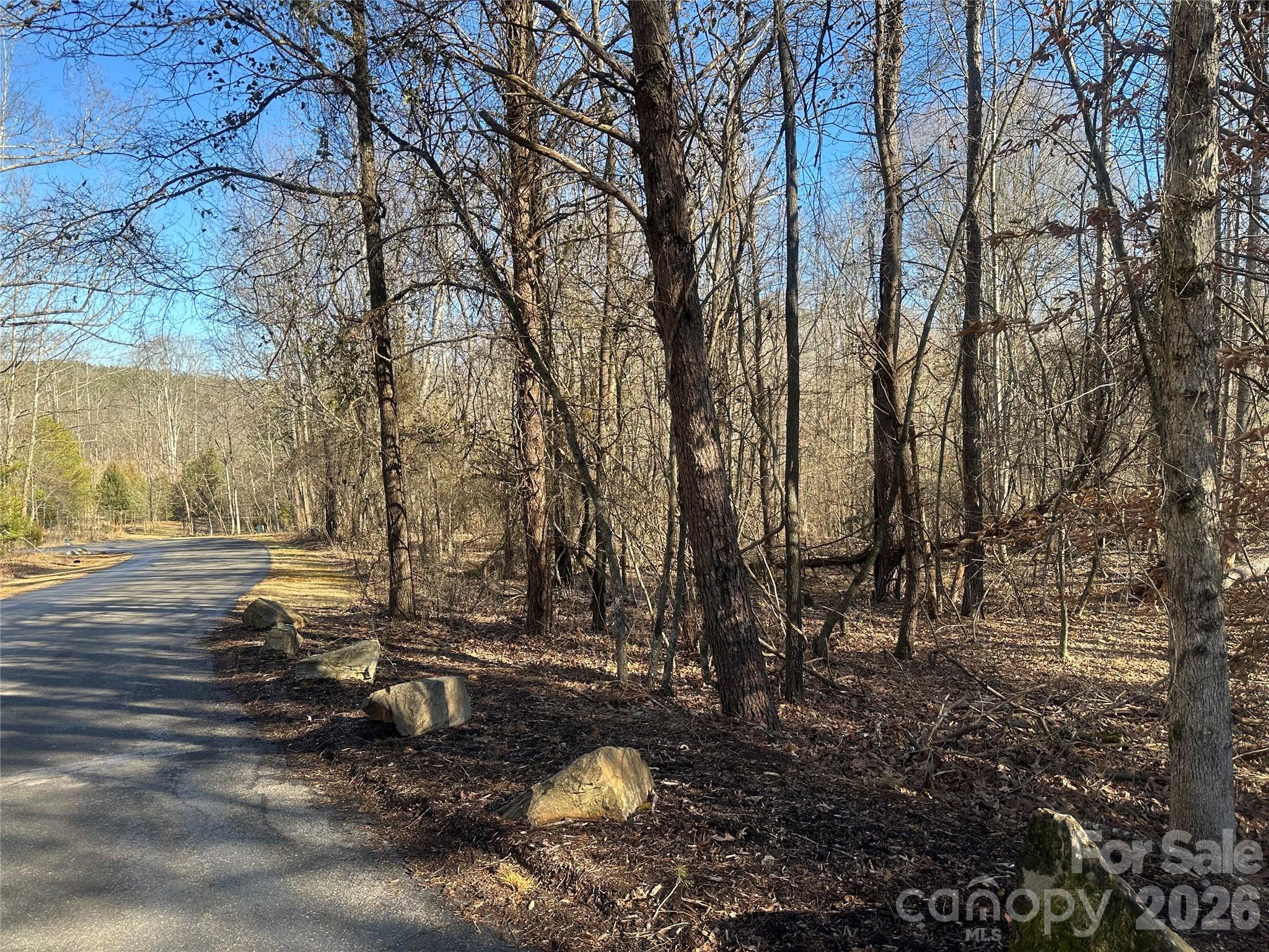 Lot at 99999 River Crest Parkway, Rutherfordton, photo 6 of 16