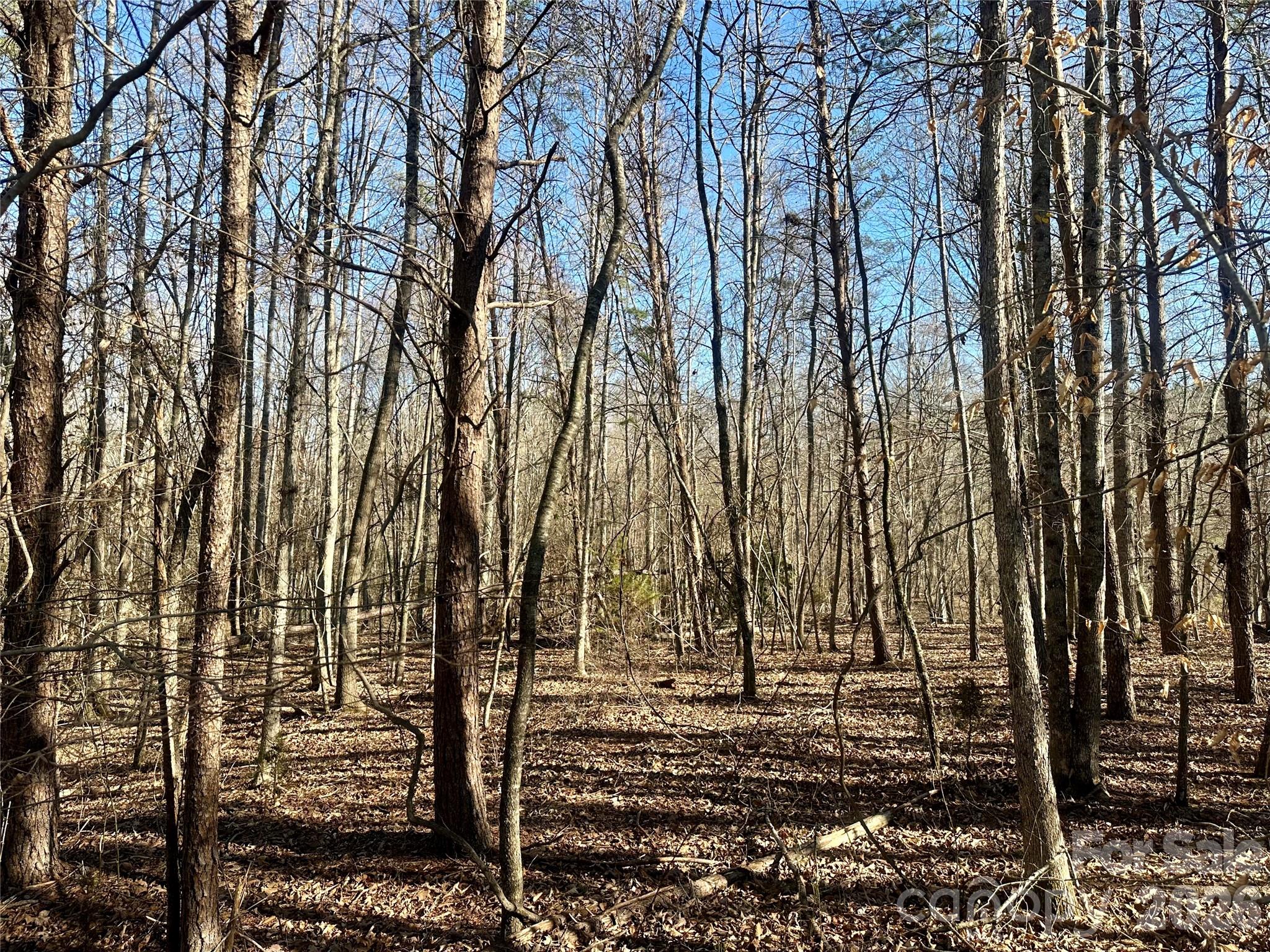 Gently sloping - 99999 River Crest Parkway, Rutherfordton