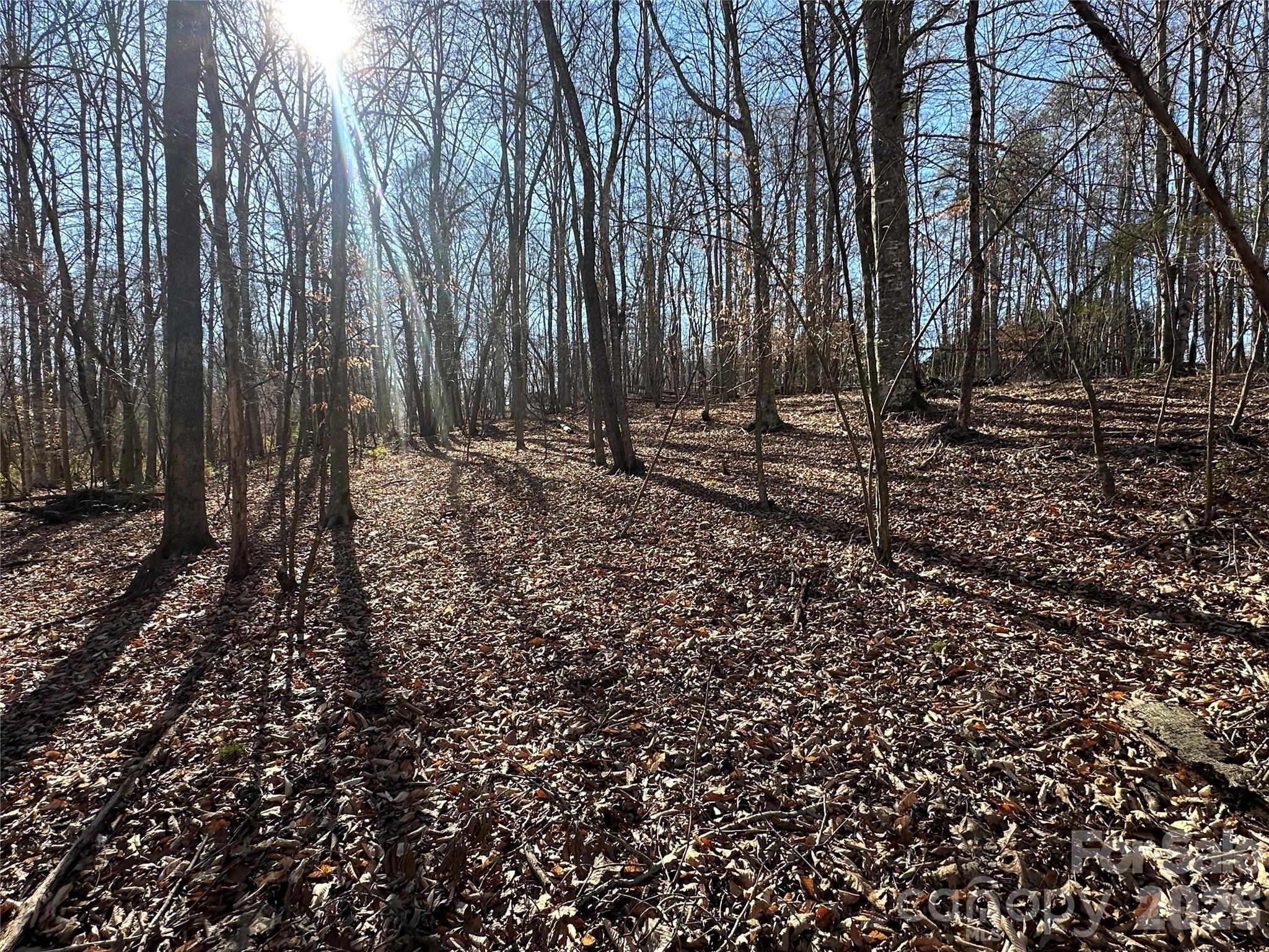 Lot at 99999 River Crest Parkway, Rutherfordton, photo 8 of 16