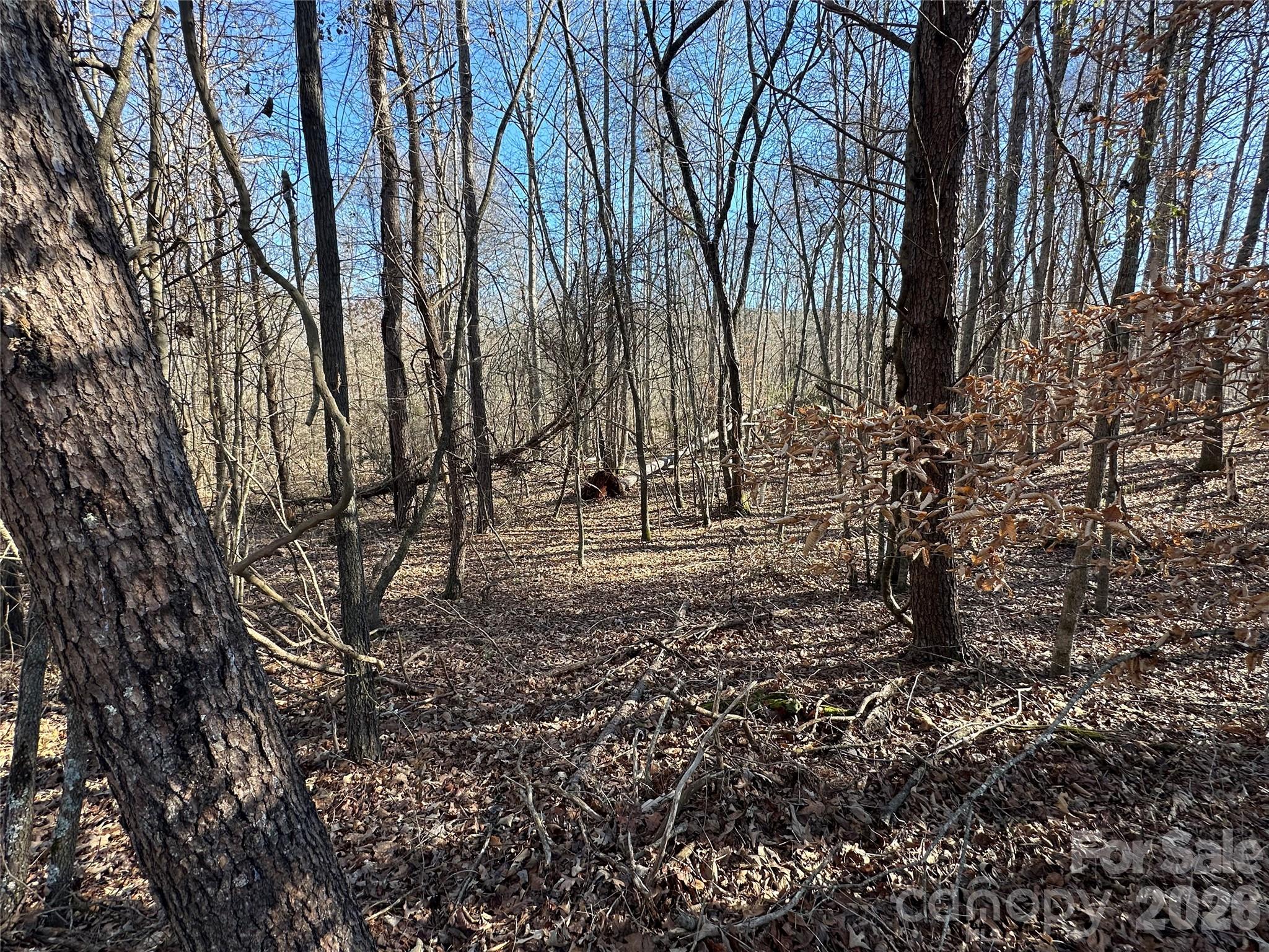 Lot at 99999 River Crest Parkway, Rutherfordton, photo 9 of 16