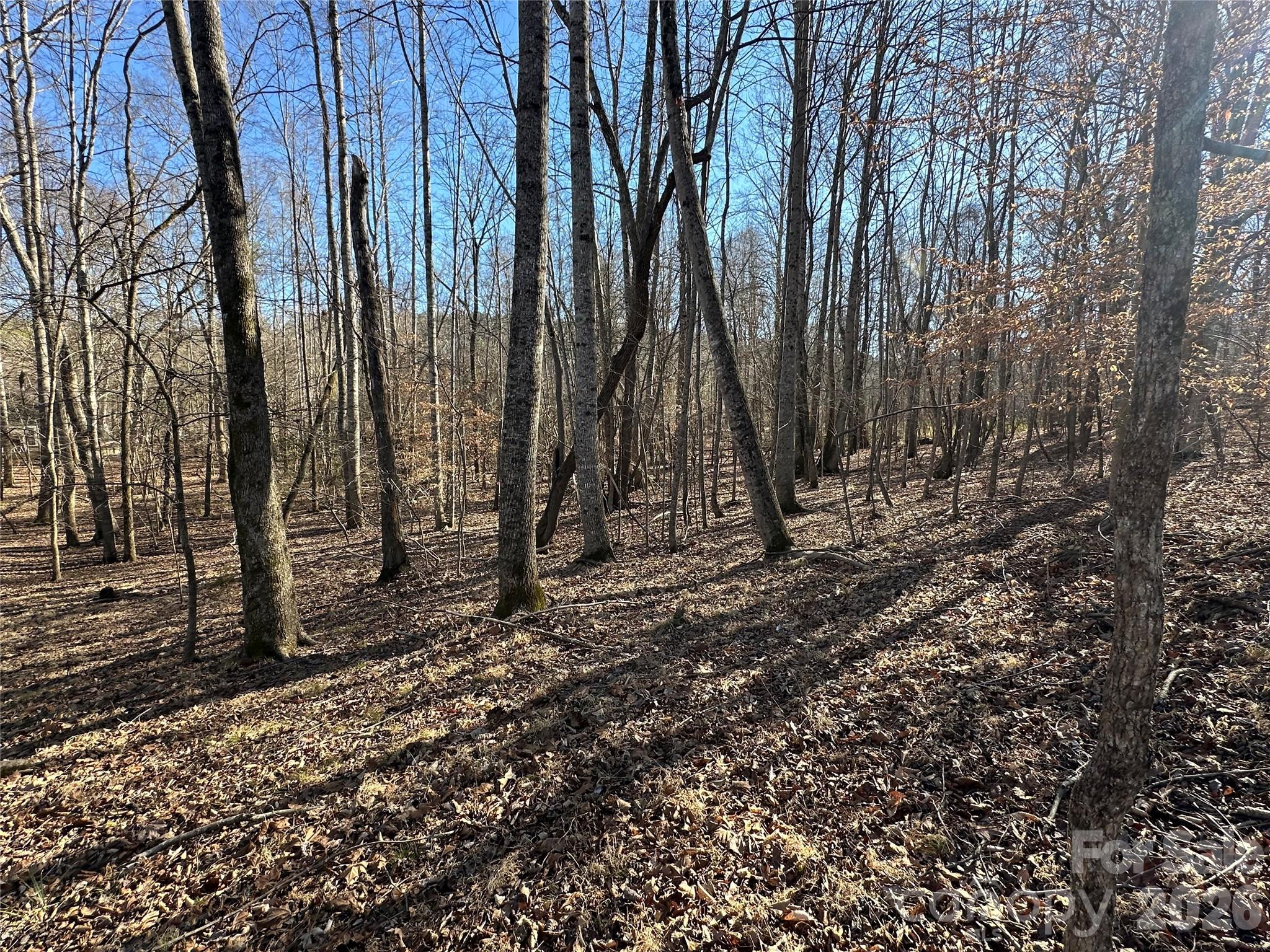 Lot at 99999 River Crest Parkway, Rutherfordton, photo 10 of 16
