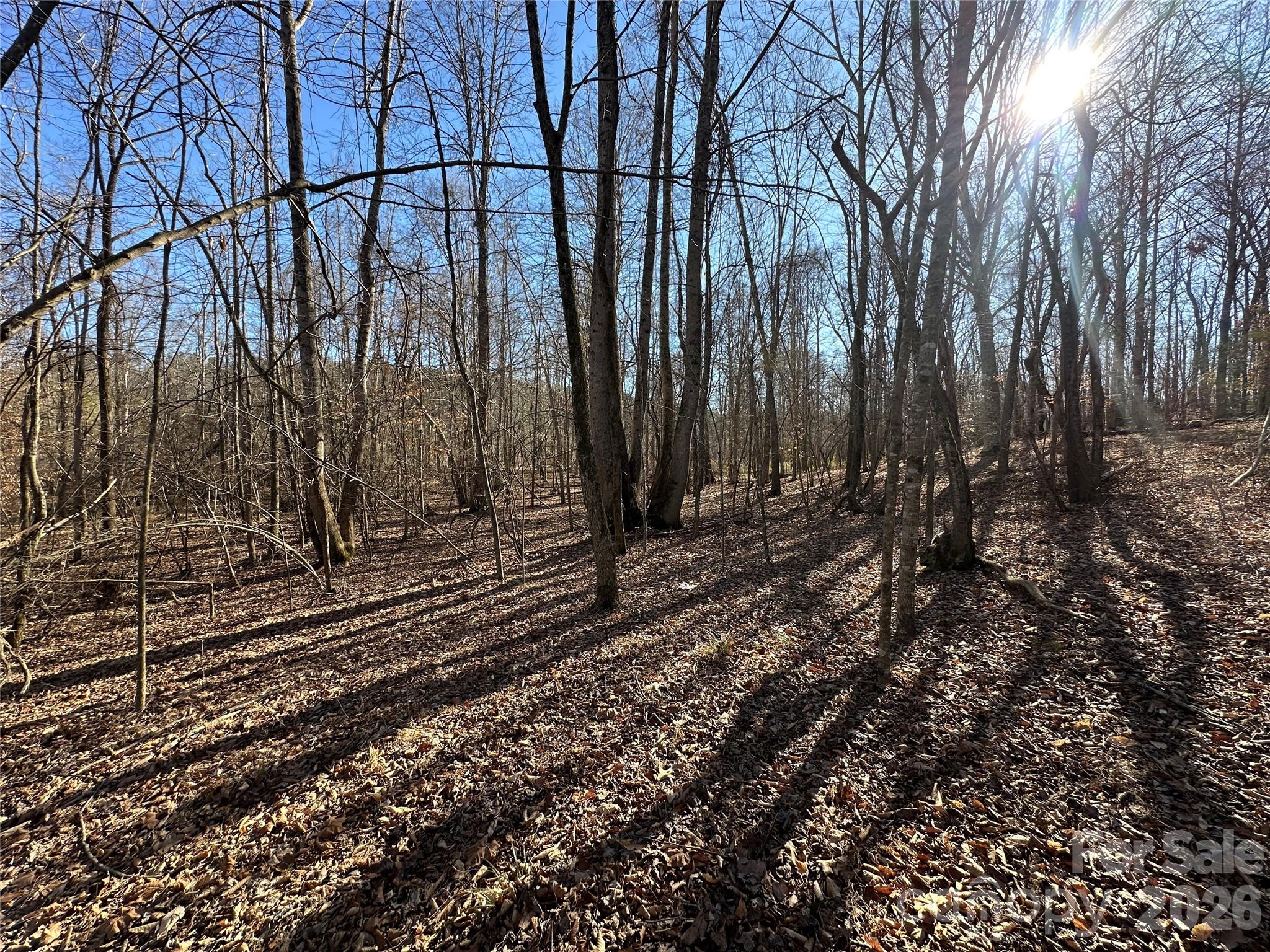 Lot at 99999 River Crest Parkway, Rutherfordton, photo 11 of 16