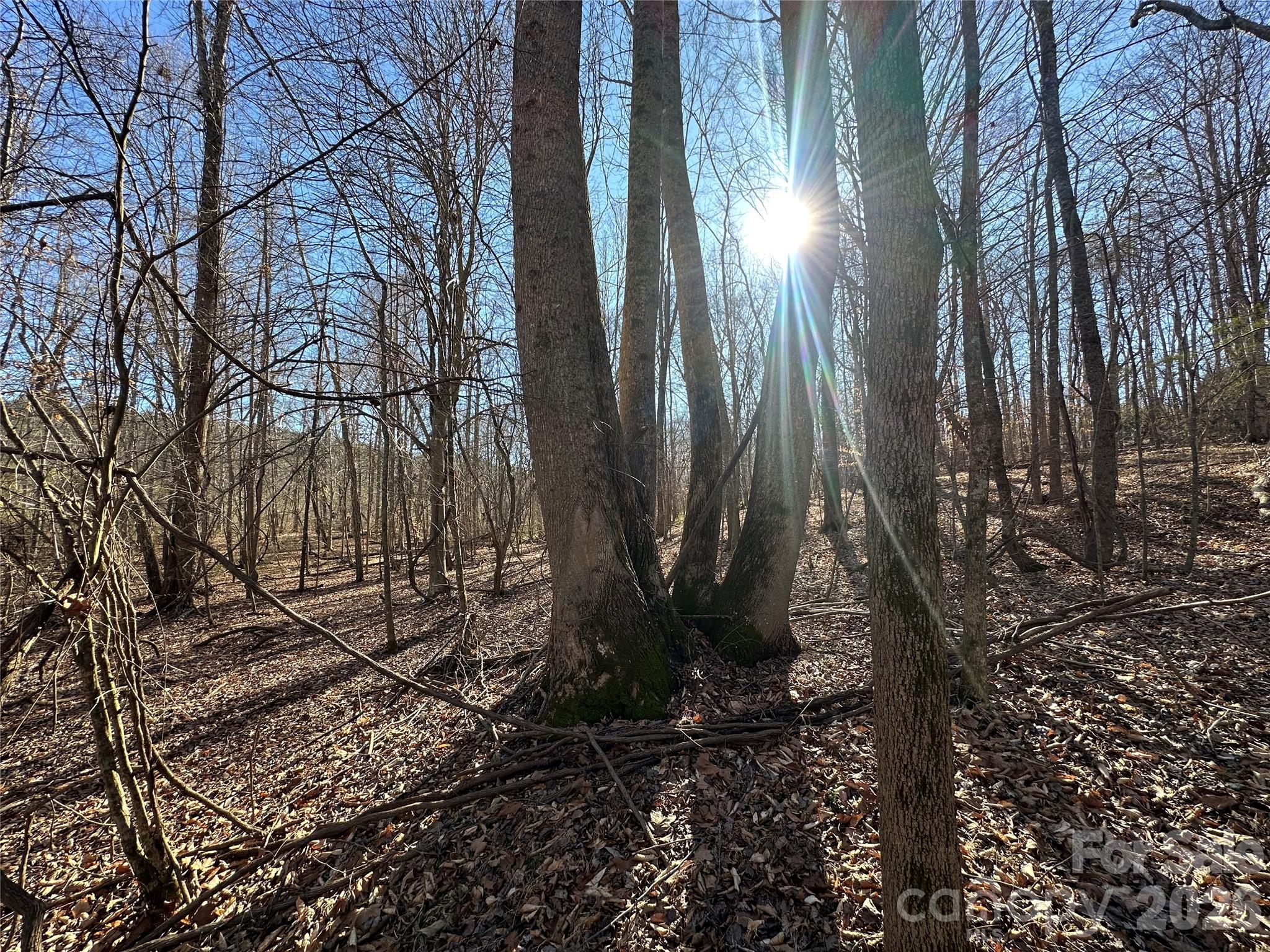 Lot at 99999 River Crest Parkway, Rutherfordton, photo 12 of 16