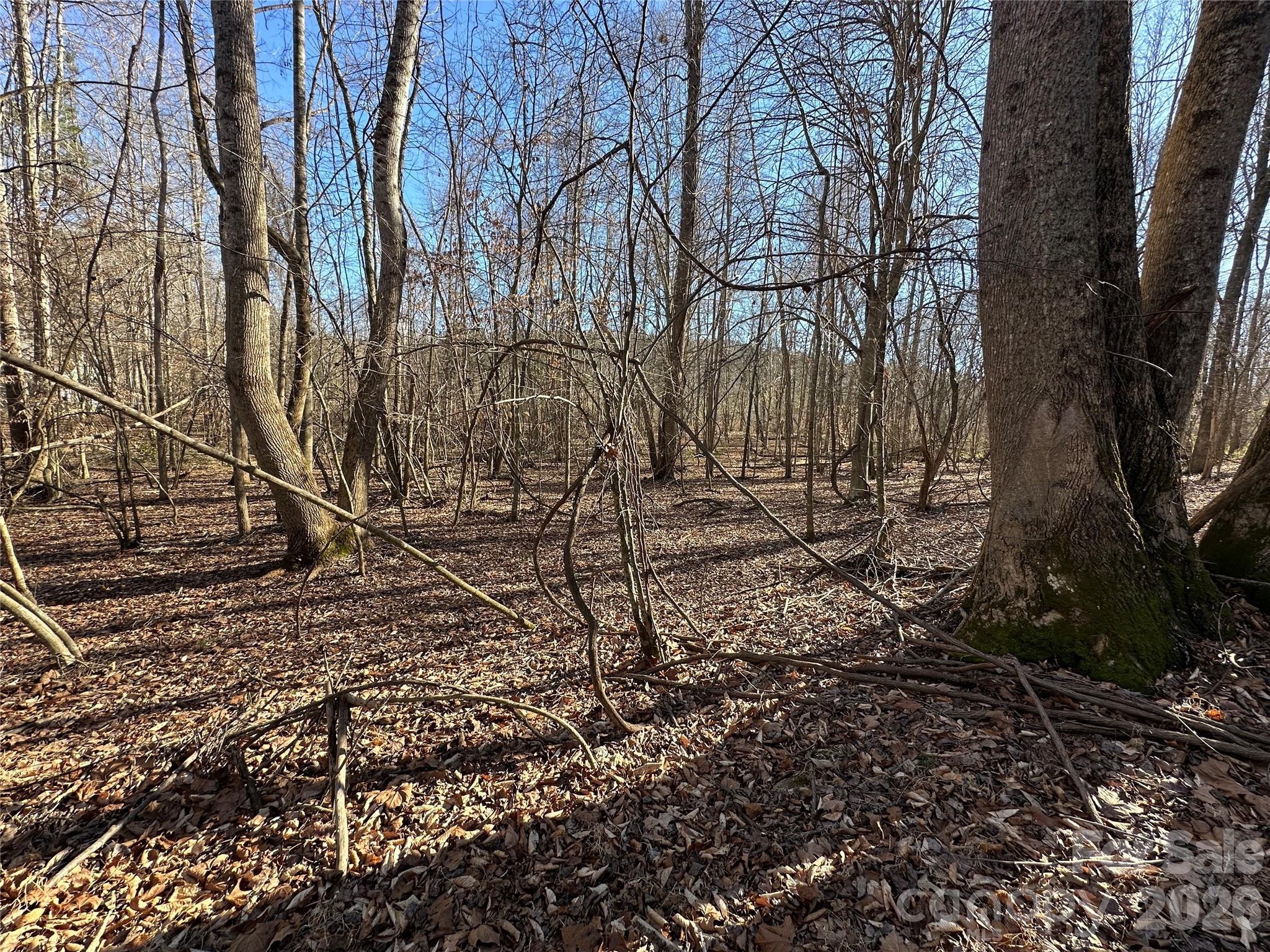 Lot at 99999 River Crest Parkway, Rutherfordton, photo 13 of 16