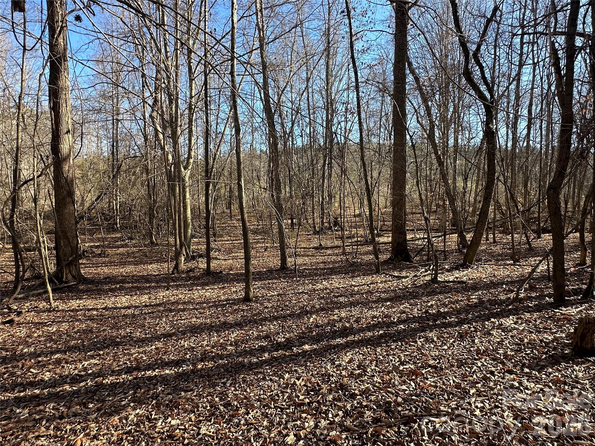 Views from lot - 99999 River Crest Parkway, Rutherfordton