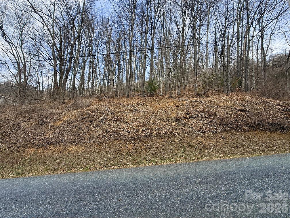 Lot at 1975 Utah Mountain Road, Waynesville, photo 3 of 8