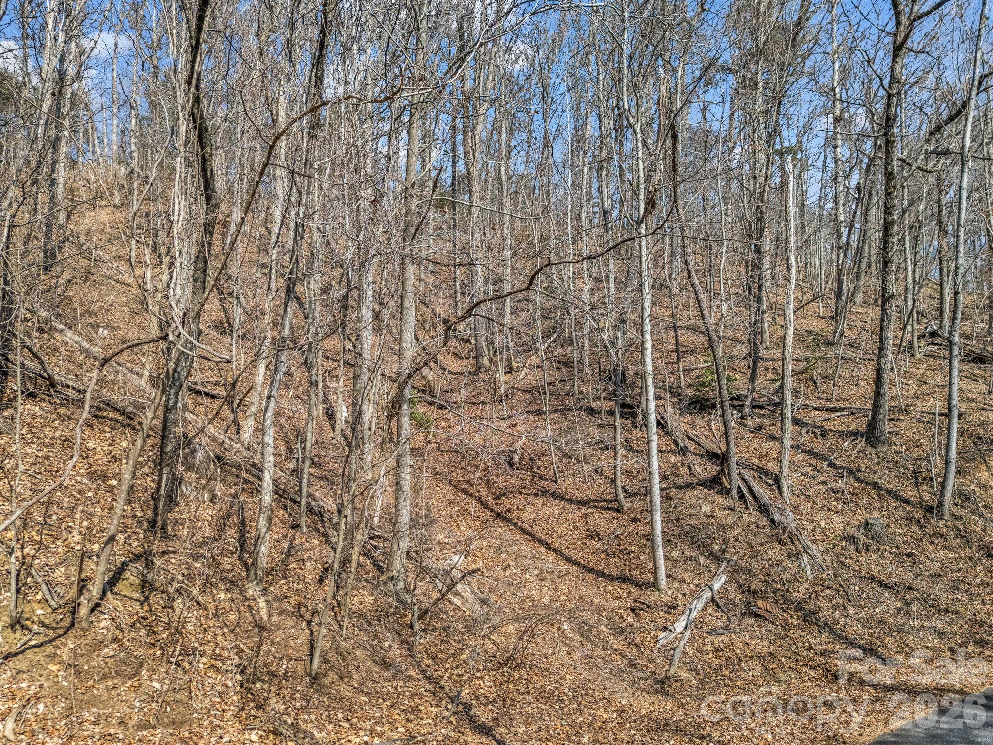 Lot at Lot #19 Hemlock Trail, Columbus, photo 3 of 10