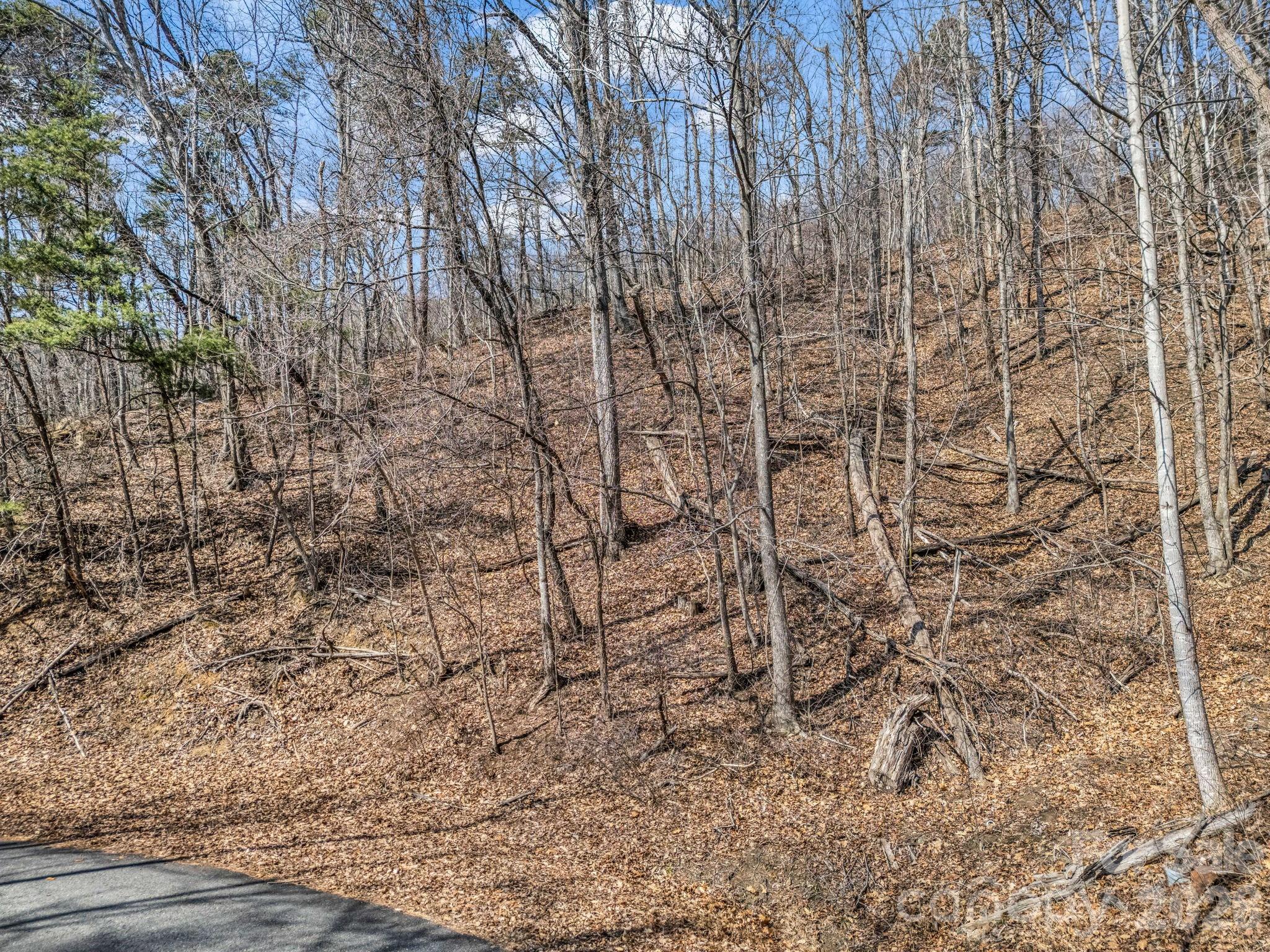 Lot at Lot #19 Hemlock Trail, Columbus, photo 4 of 10