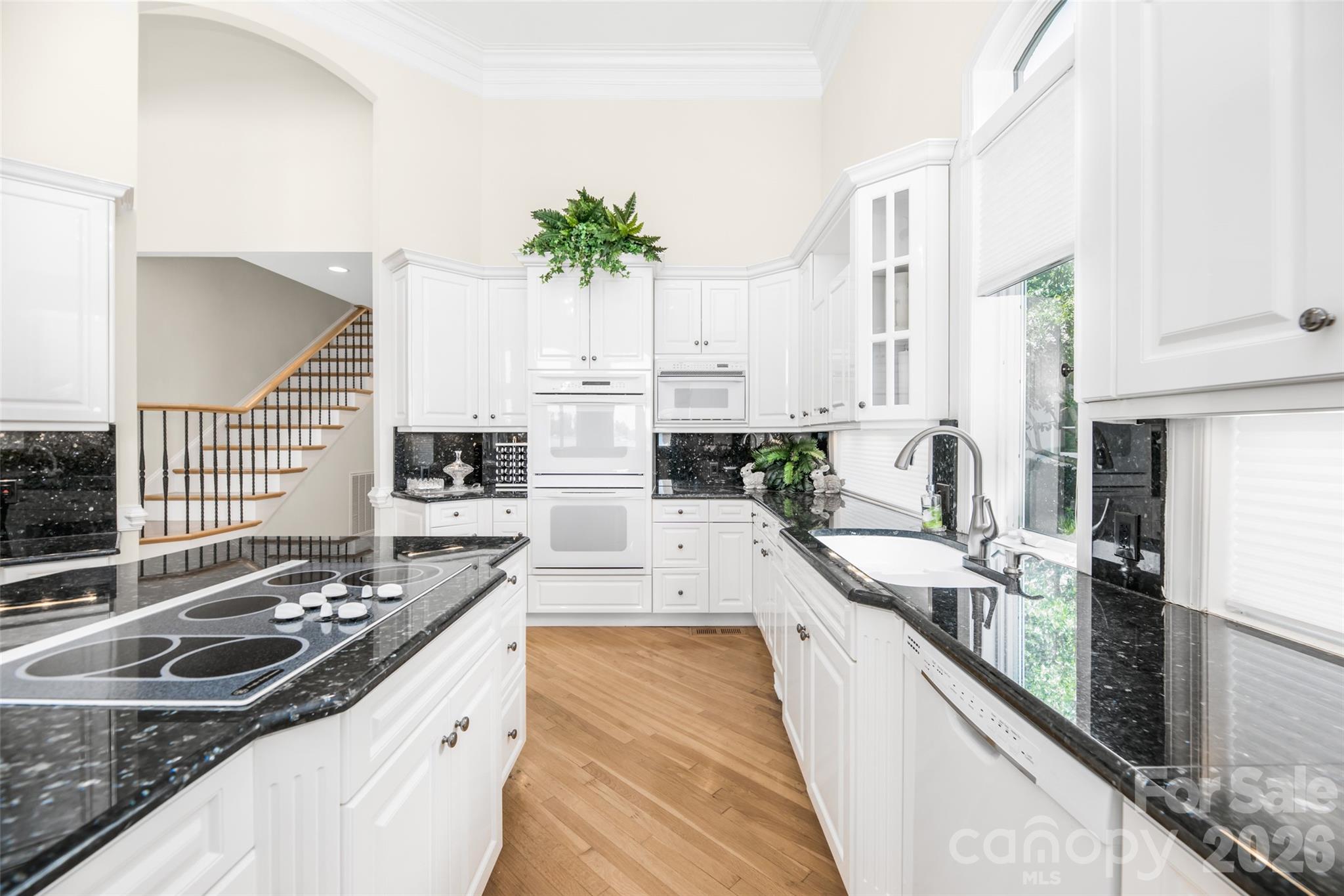 Single Family Residence at 3446 Governors Island Drive, Denver, photo 28 of 47