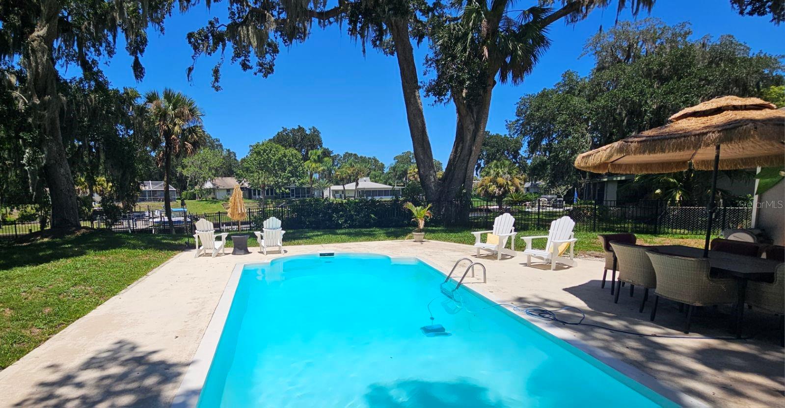 Huge pool. 8 ft deep. - 10 FANWOOD CT, PALM COAST